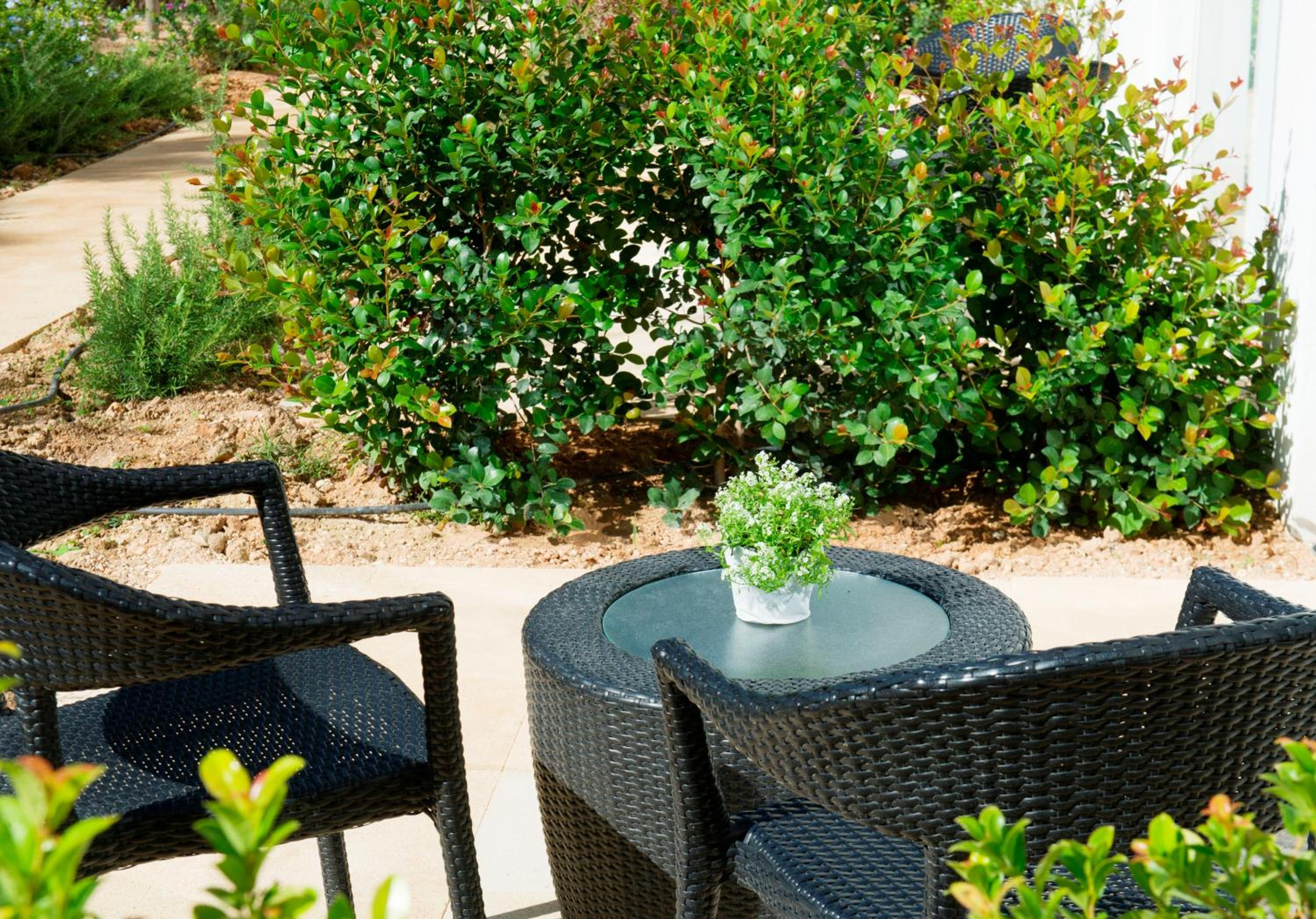 Balcony & Terrace