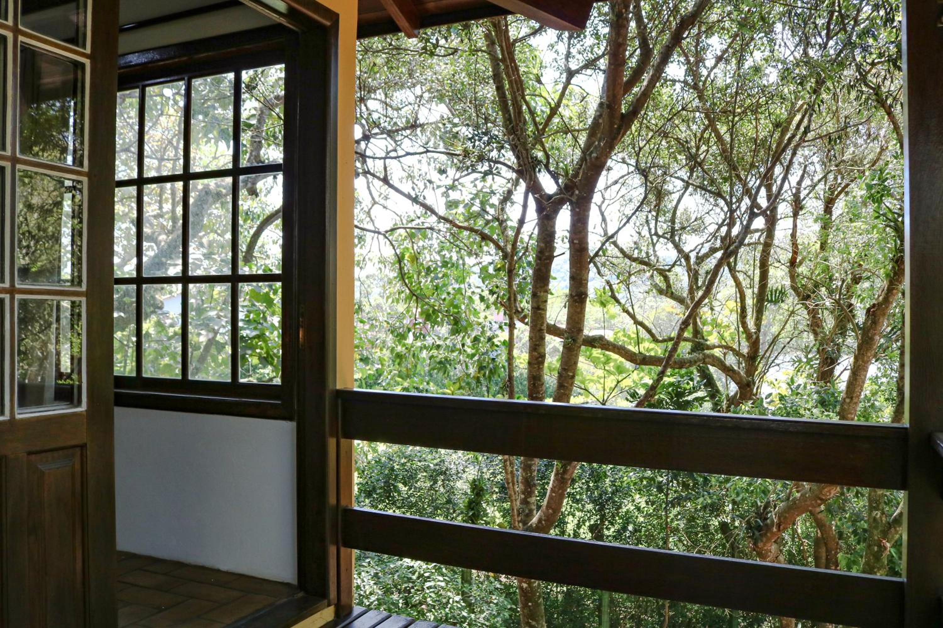 Studio Apartment with Balcony photo 3