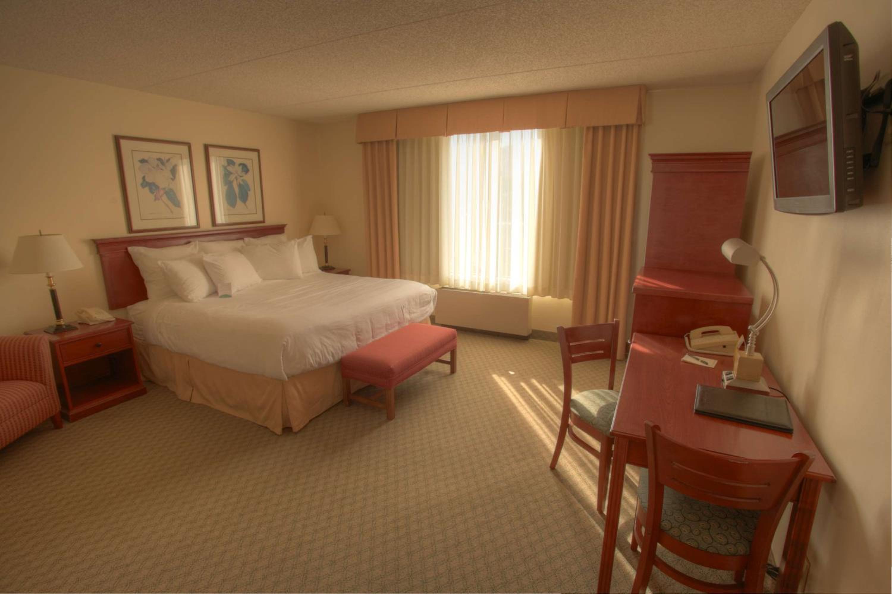 Coast King - Photo 1
