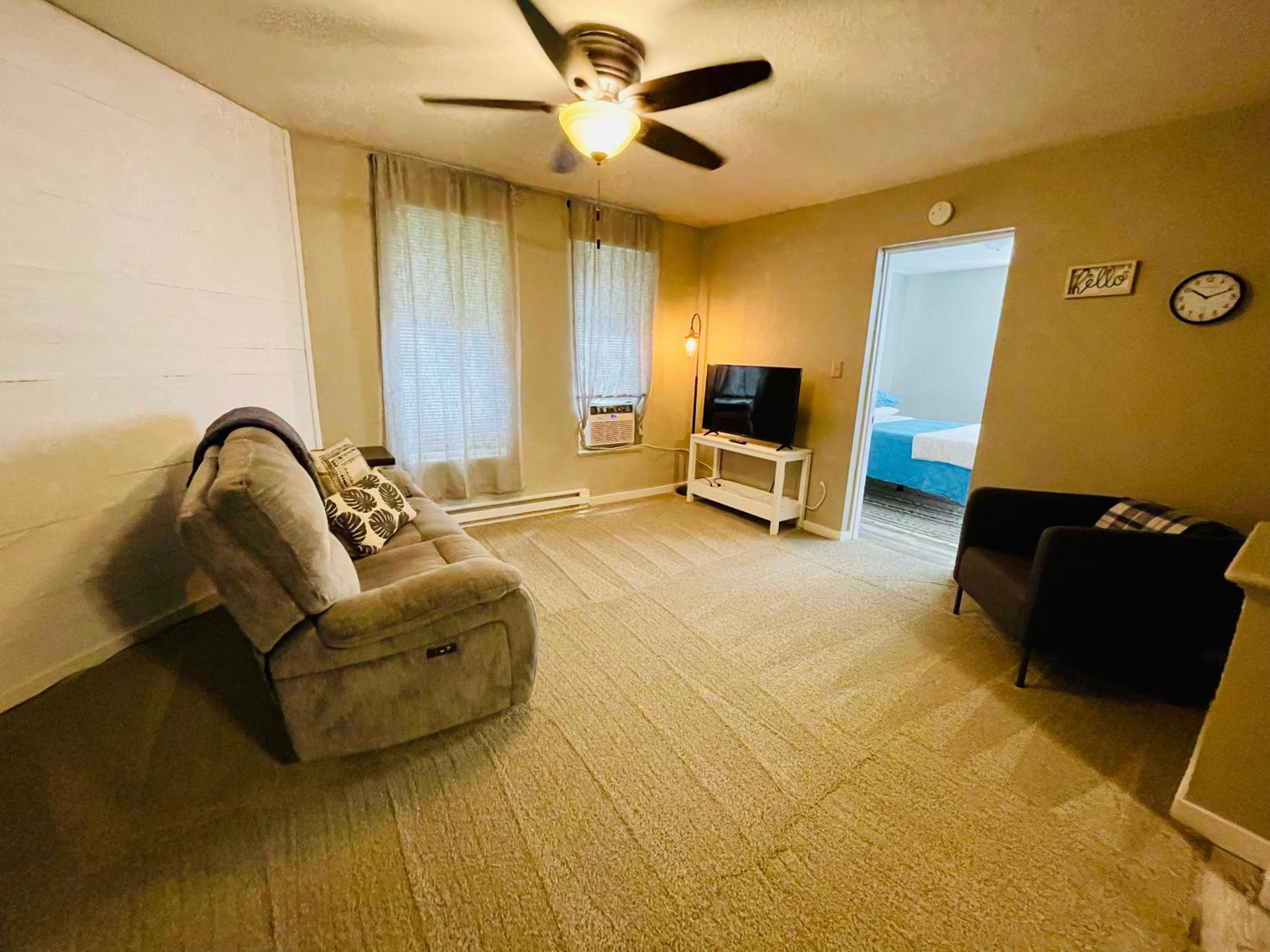 One-Bedroom Apartment photo 3