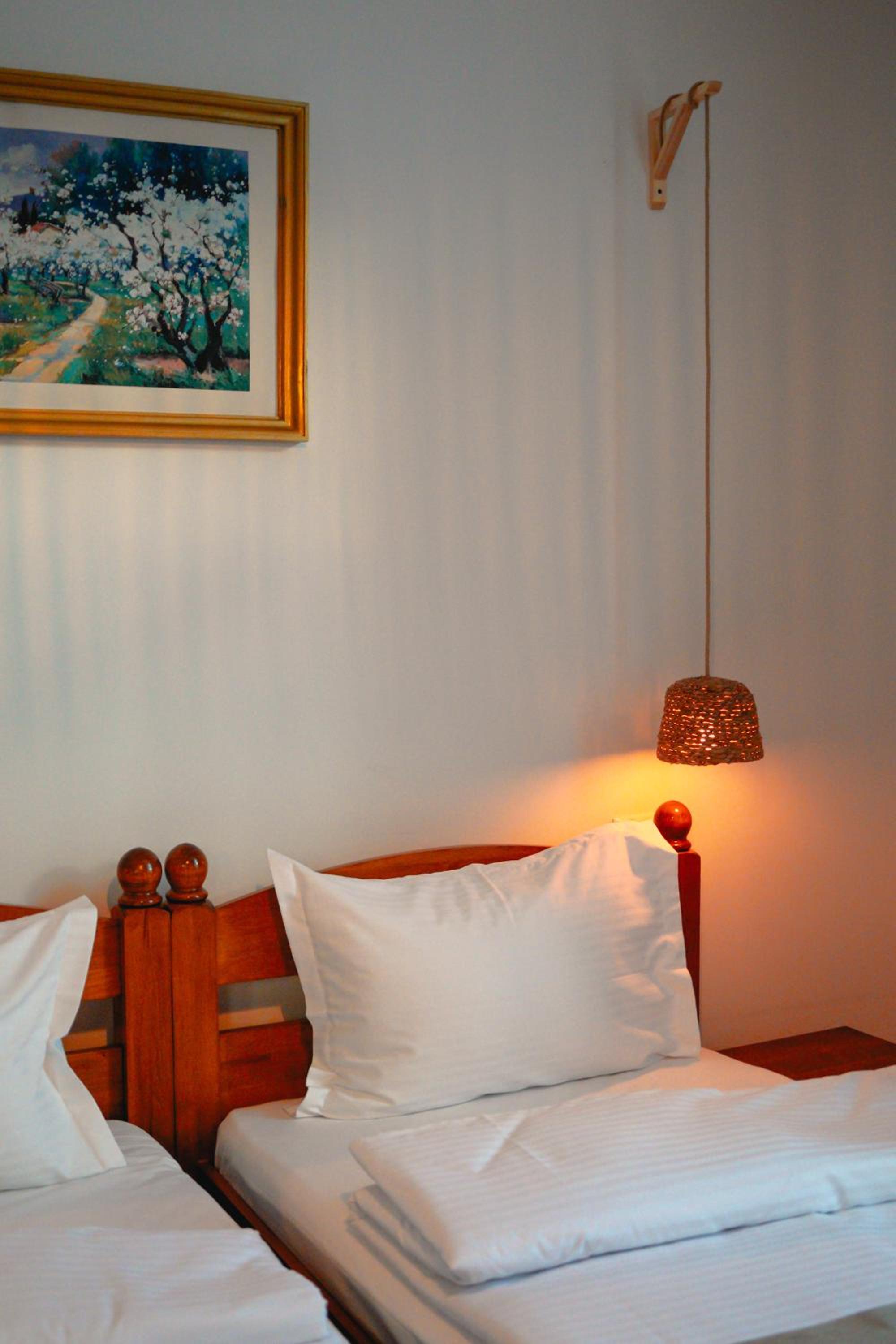 Twin Room photo 2