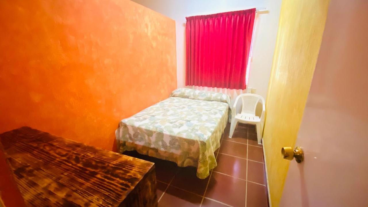 Double or Twin Room photo 2