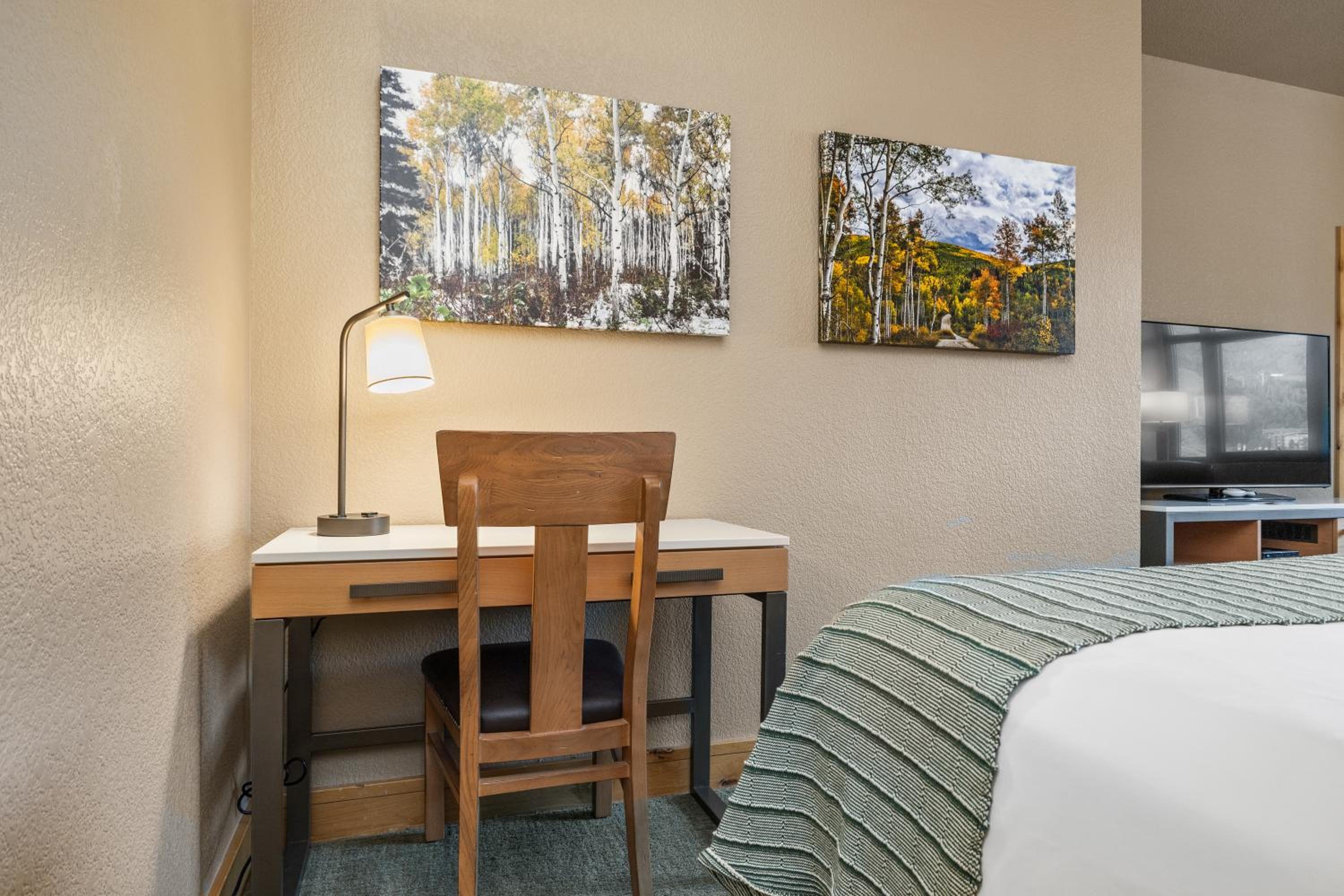 One-Bedroom Apartment (6 Adults) - Photo 4