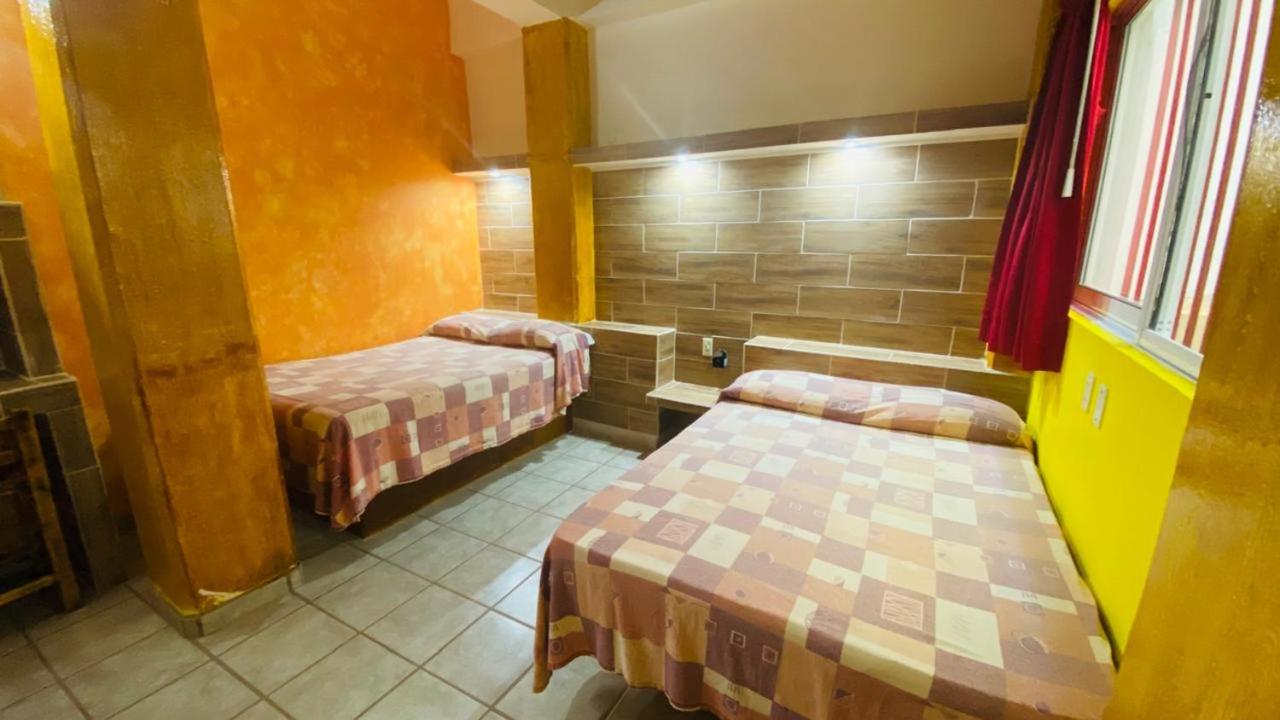 Twin Room photo 2