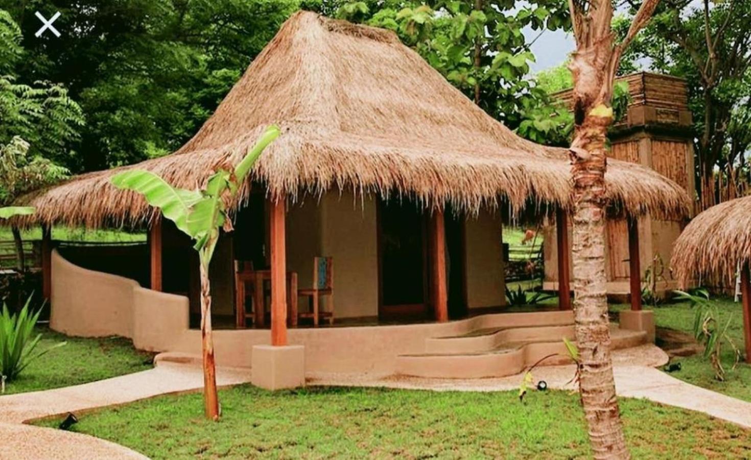 Bungalow with Garden View photo 2
