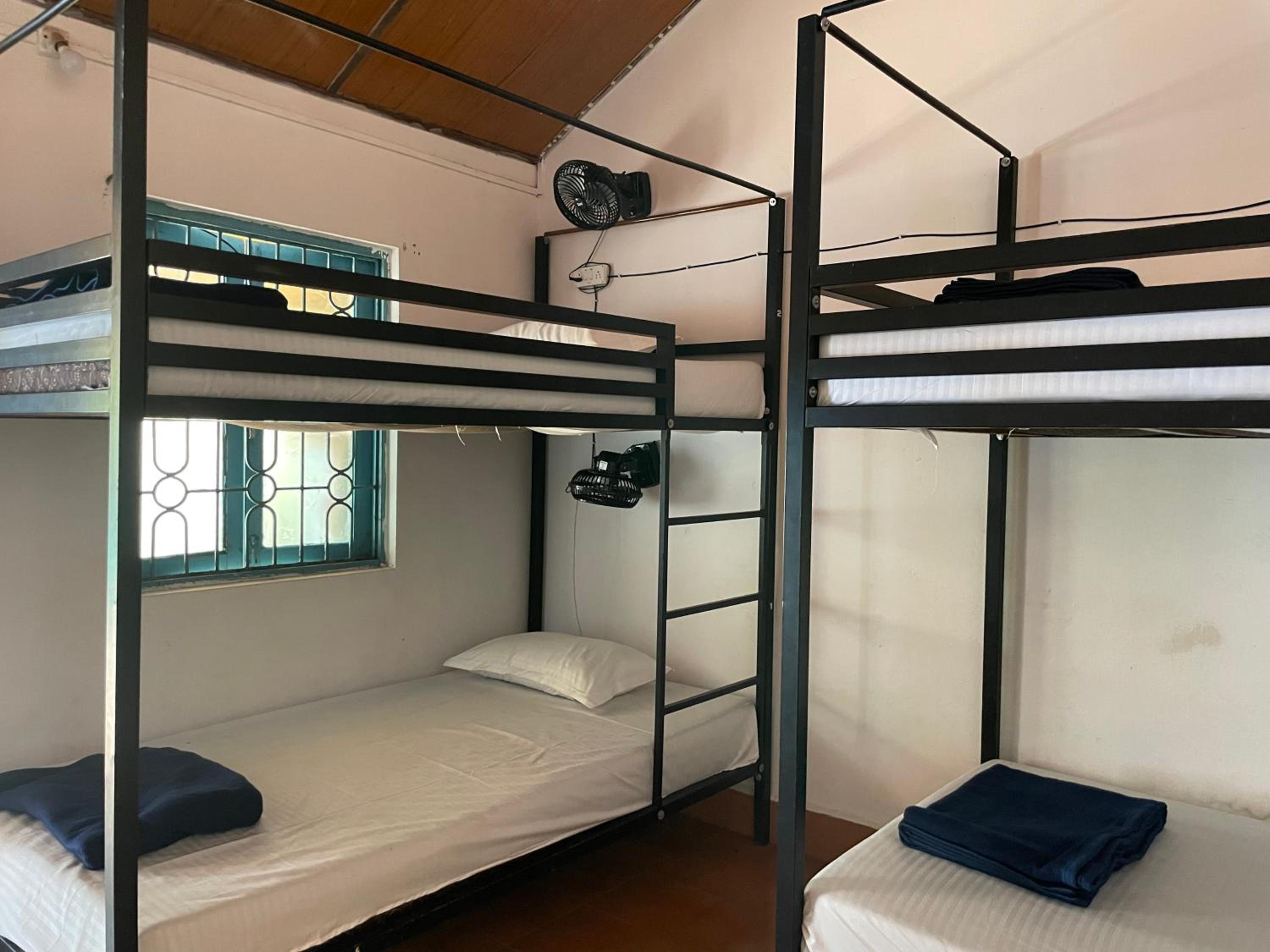 Single Bed In Dormitory Room photo 1