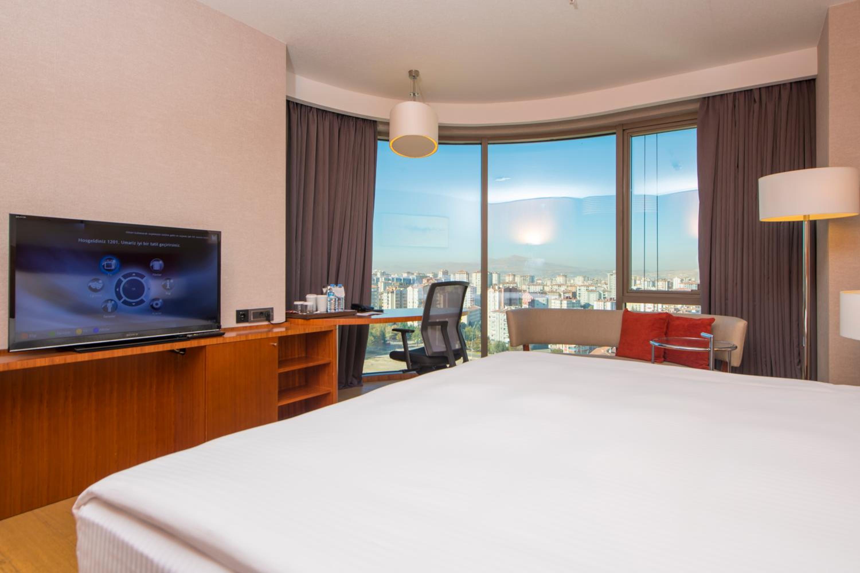 Junior King Suite photo 1