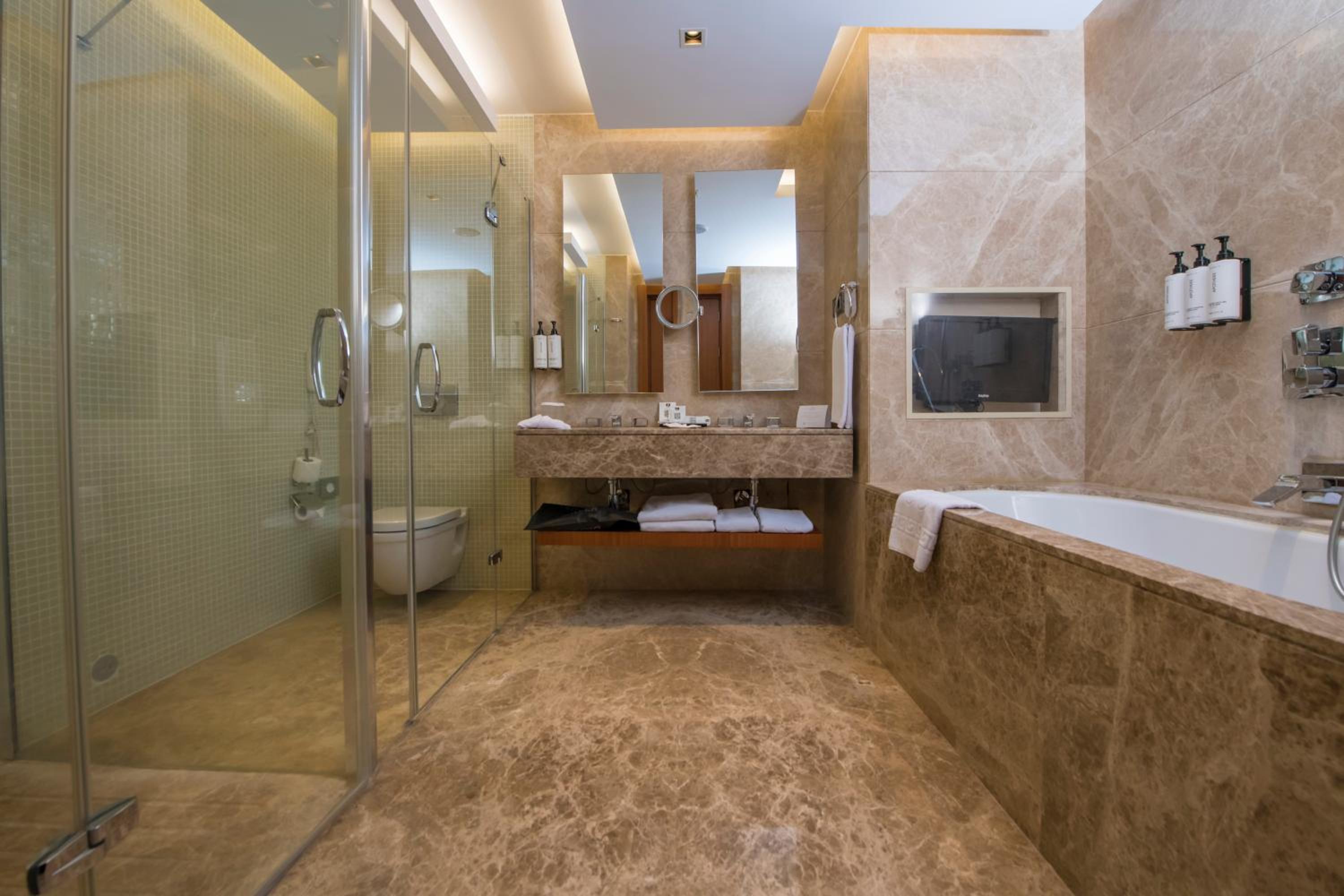 One-Bedroom Suite photo 3