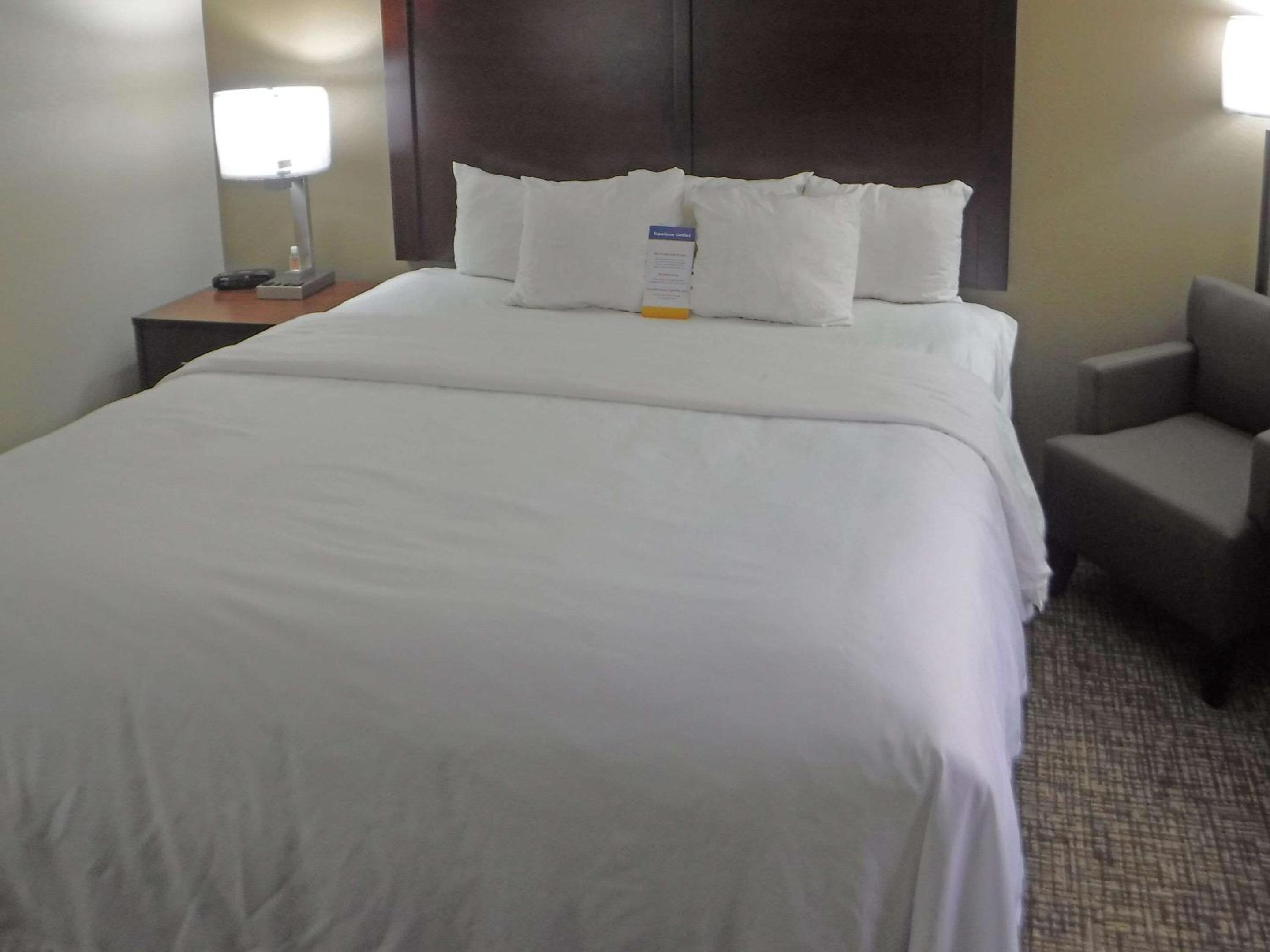 King Room with Roll-In Shower - Accessible/Non-Smoking - Photo 2