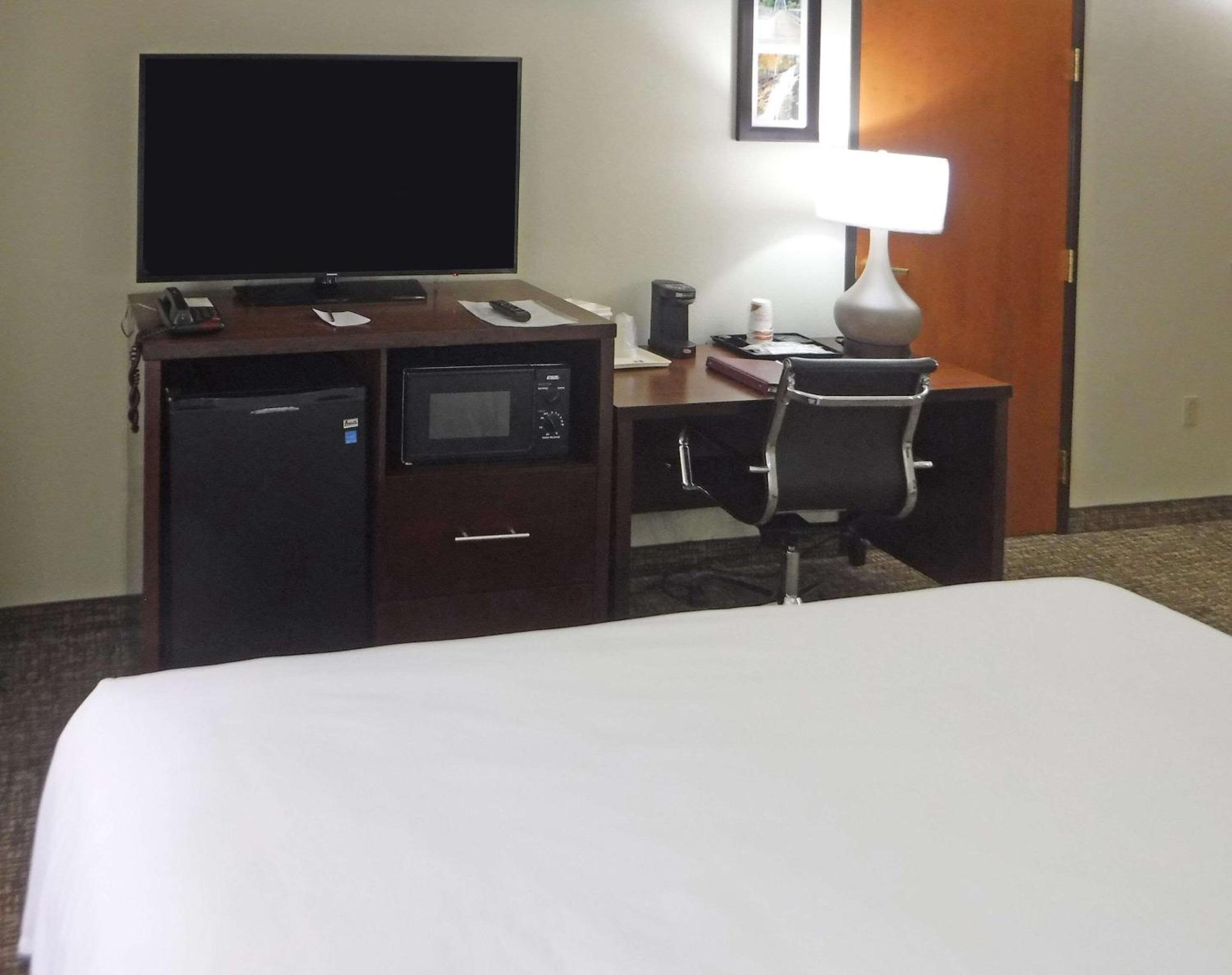 King Room with Roll-In Shower - Accessible/Non-Smoking - Photo 3