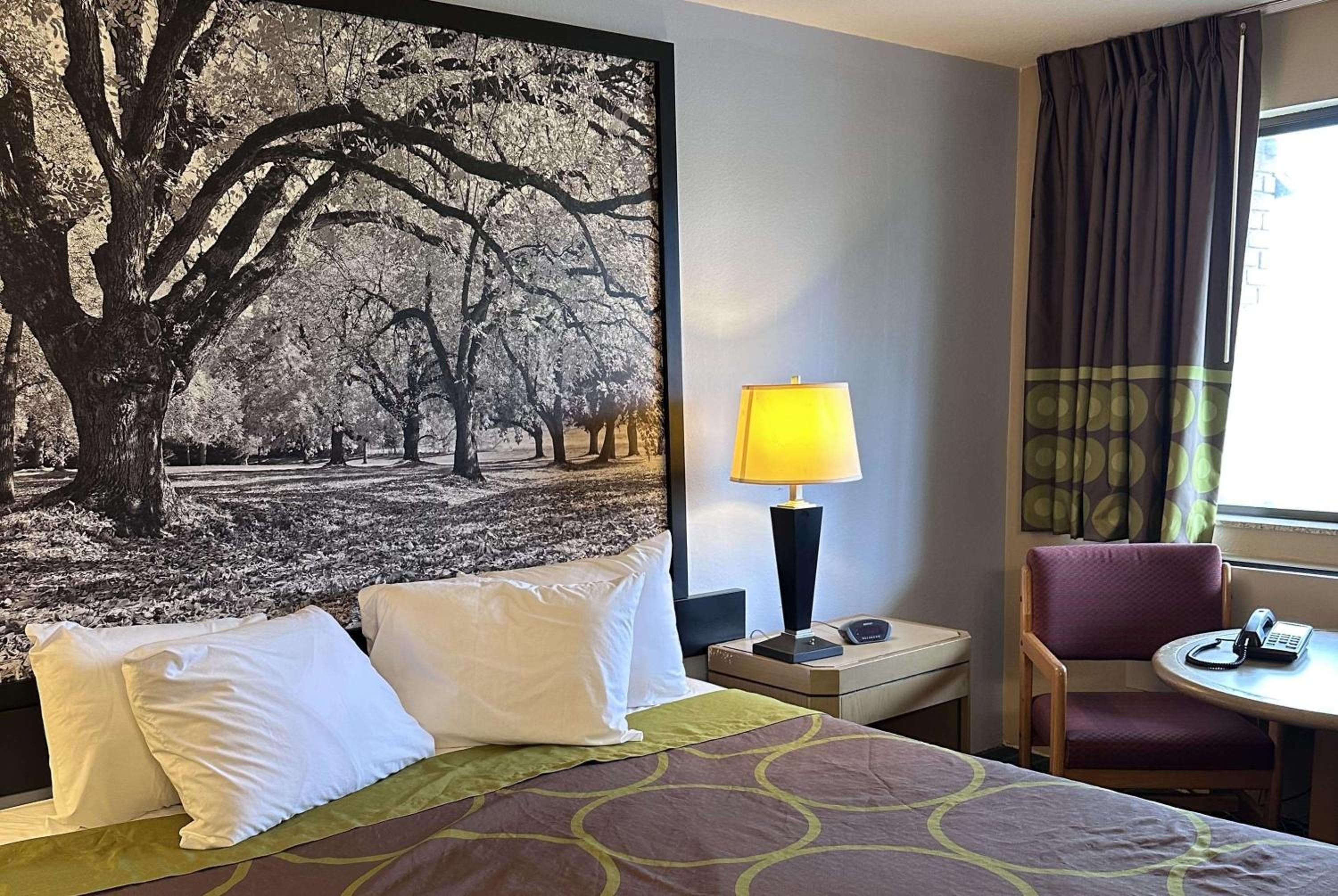 King Room - Non-Smoking - Photo 12