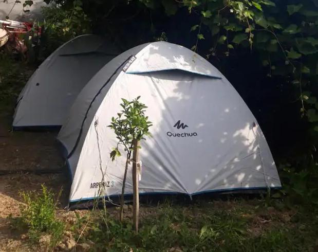 Tent photo 3