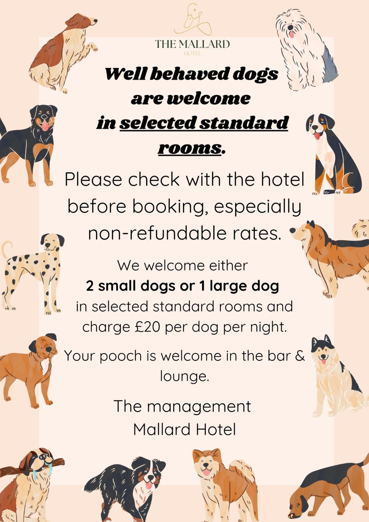 Hotel Łabędzi, Zdjęcie 6