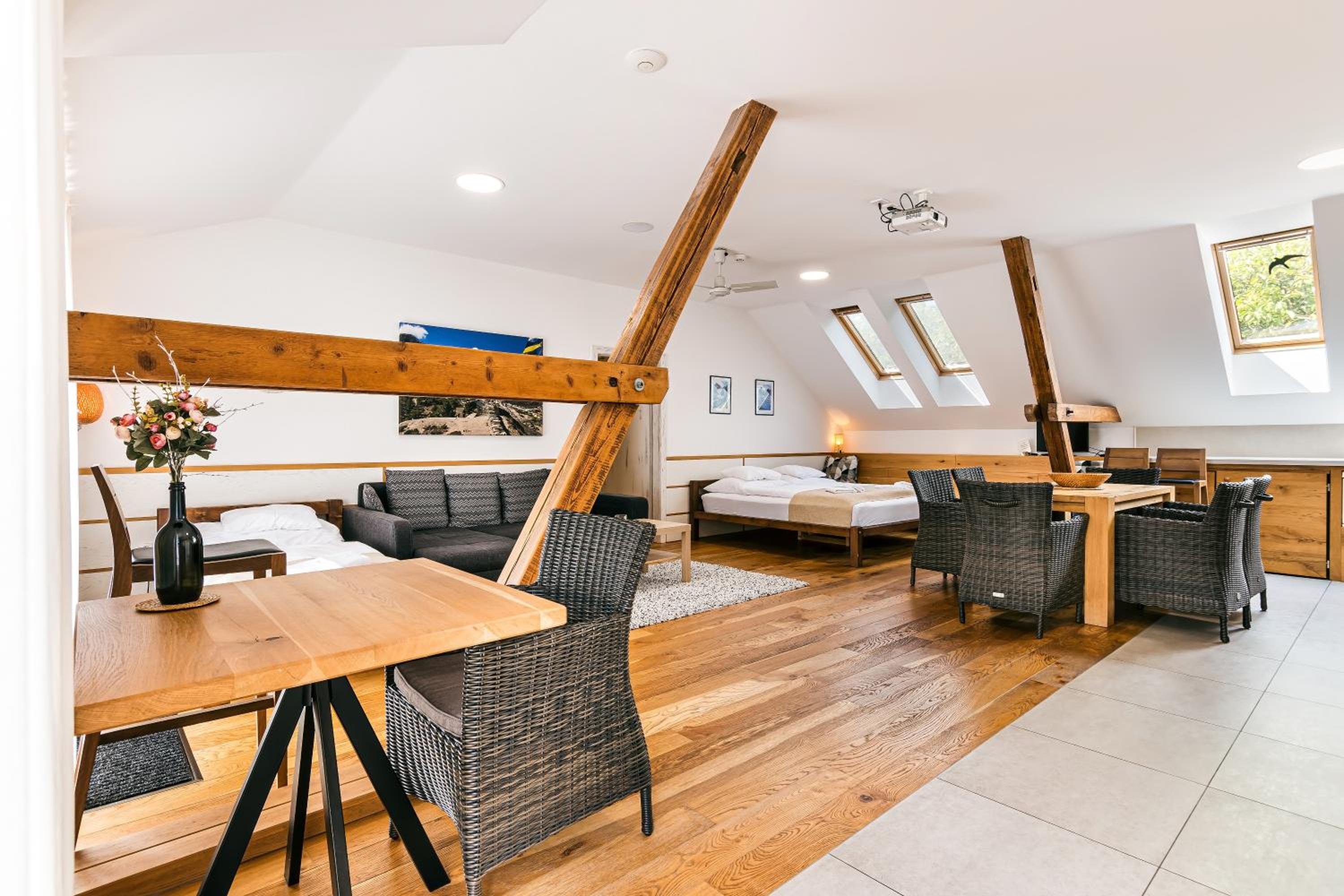 Studio with Terrace