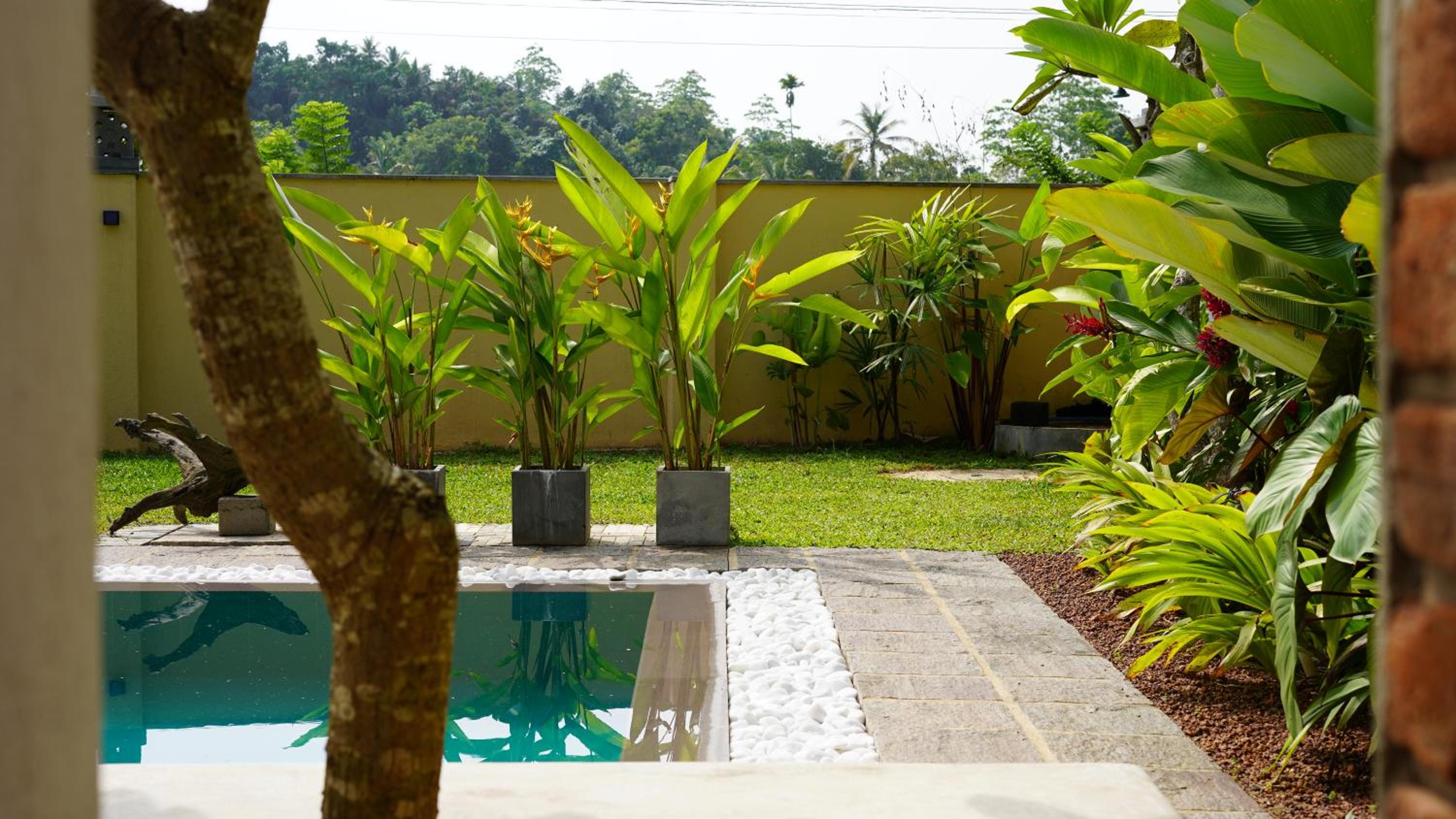 Deluxe Double Or Twin Room With Pool View photo 1
