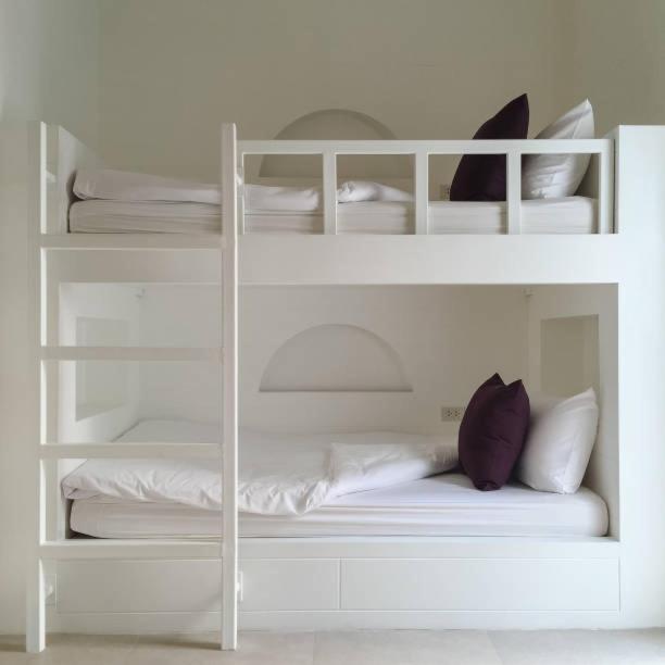 Bunk Bed in Mixed Dormitory Room photo 1
