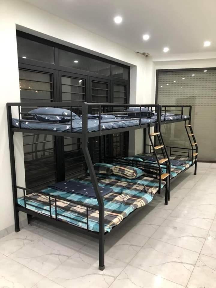 Bunk Bed in Mixed Dormitory Room photo 2