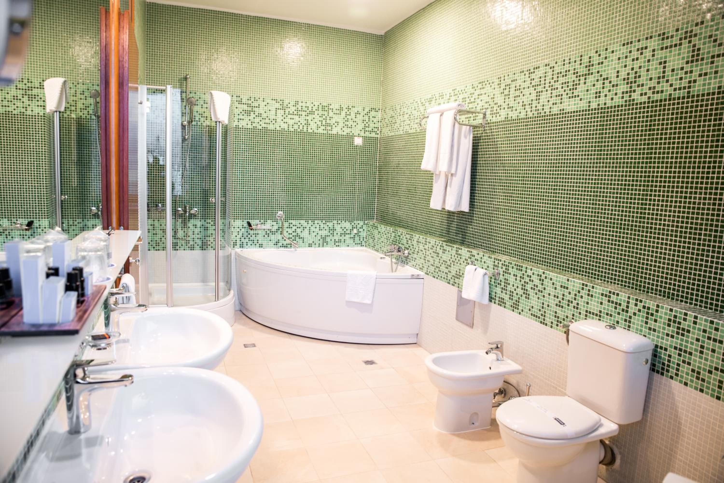 Deluxe Suite - Photo 4