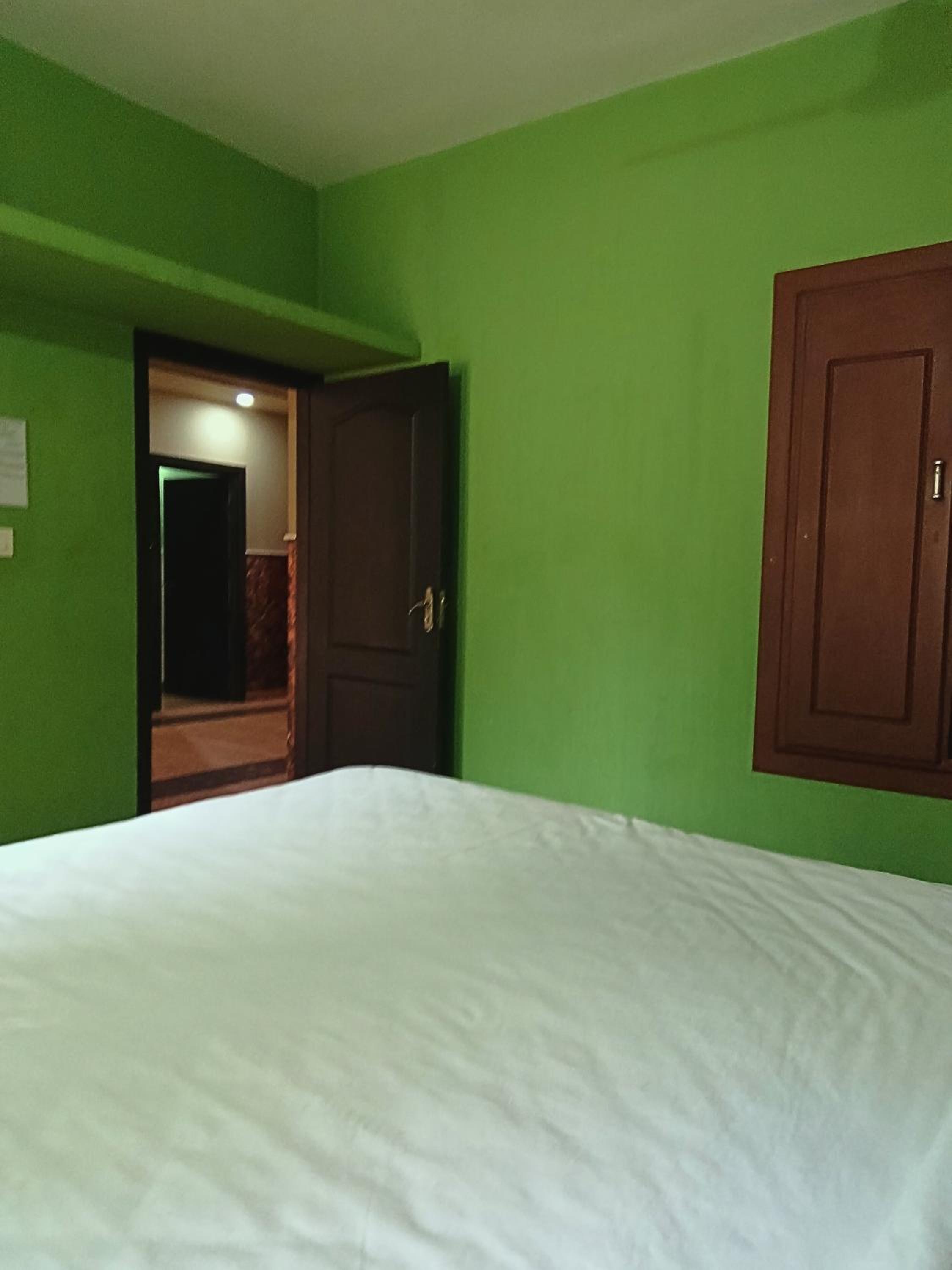 Deluxe Double or Twin Room with Mountain View photo 1