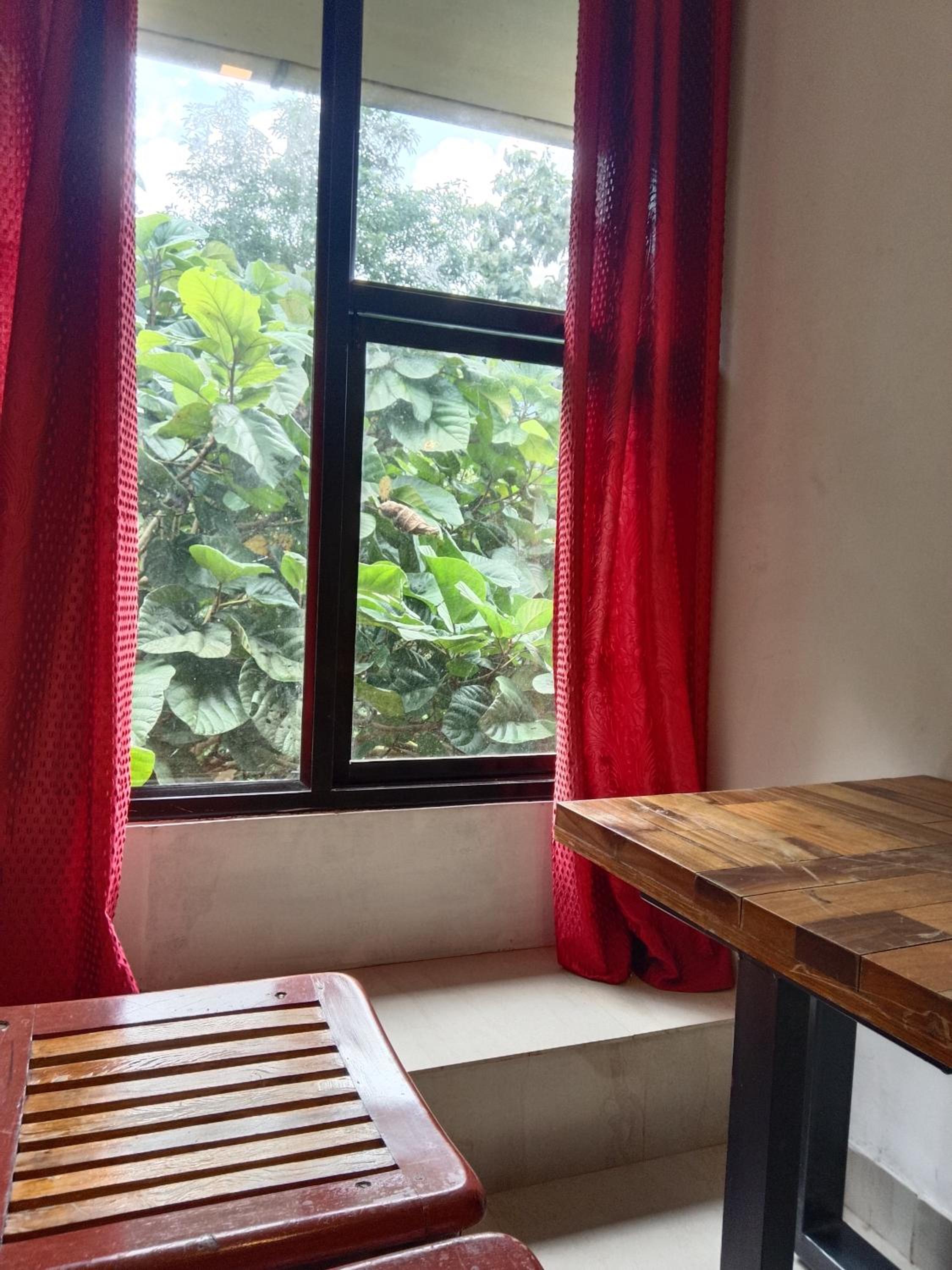 Triple Room with Mountain View photo 3