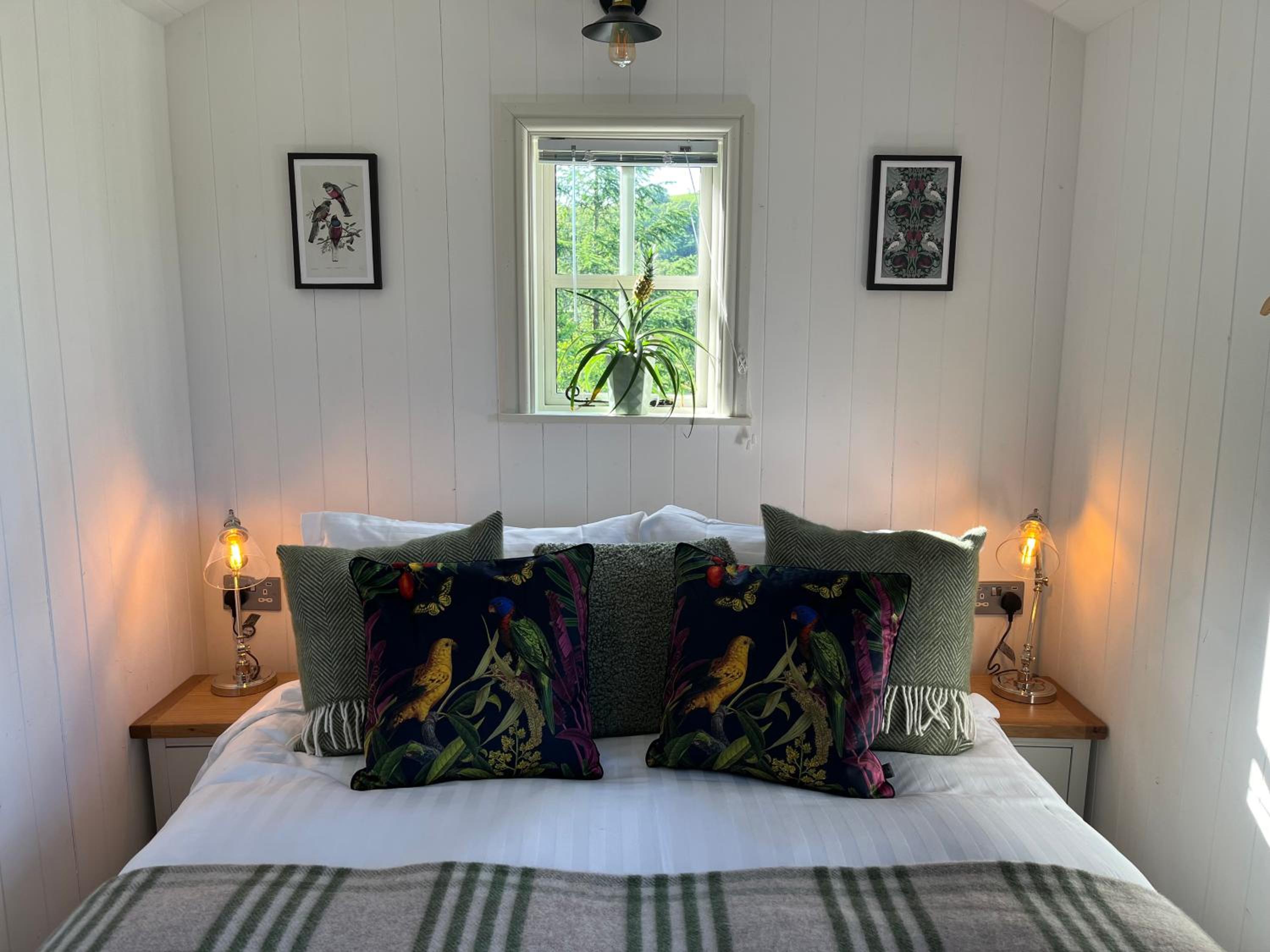 Mobile Home photo 1