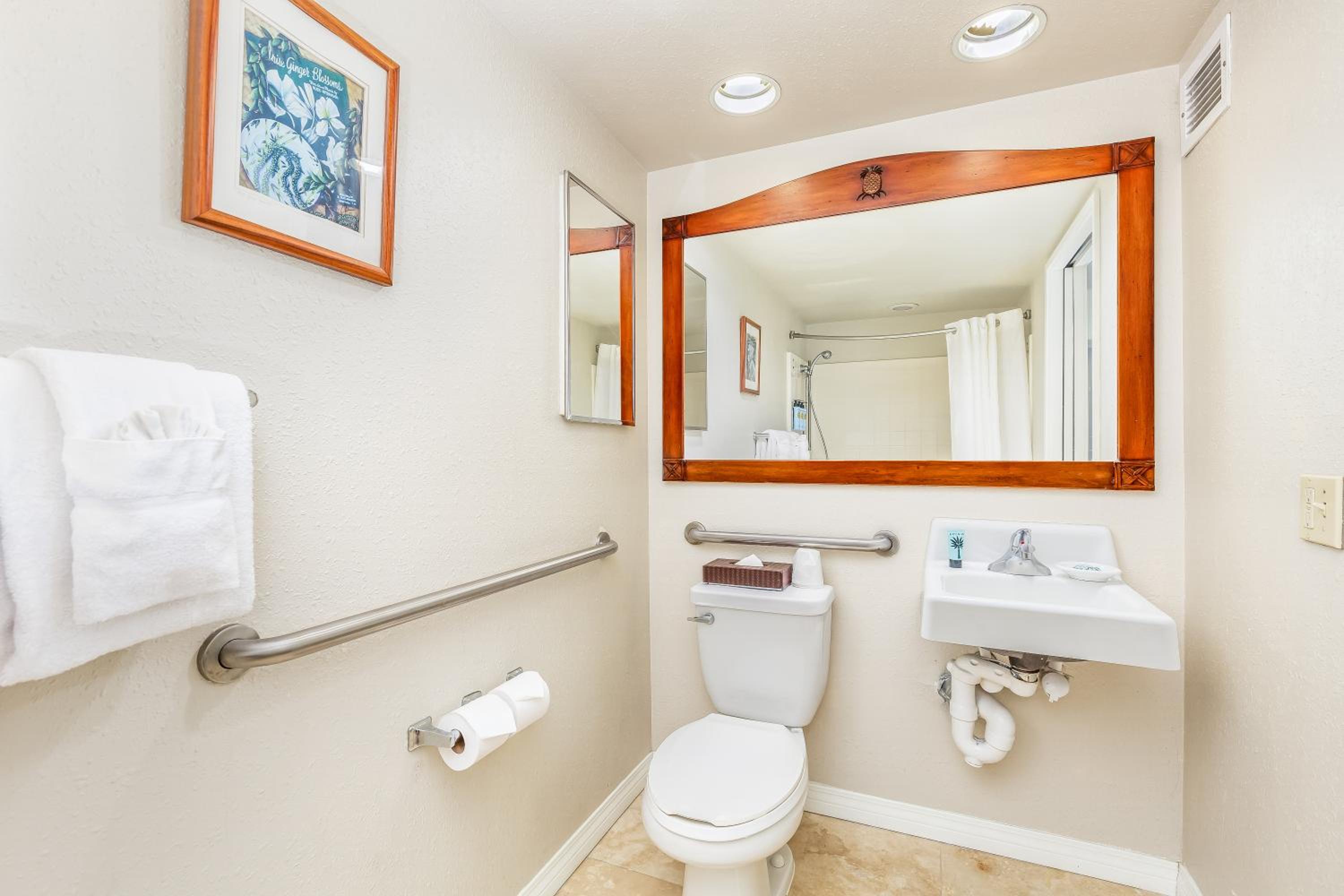 City View Two Bedroom Suite - Photo 10