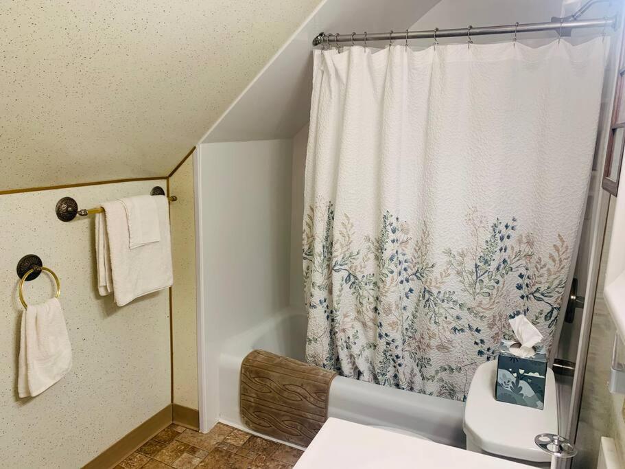One-Bedroom House photo 2