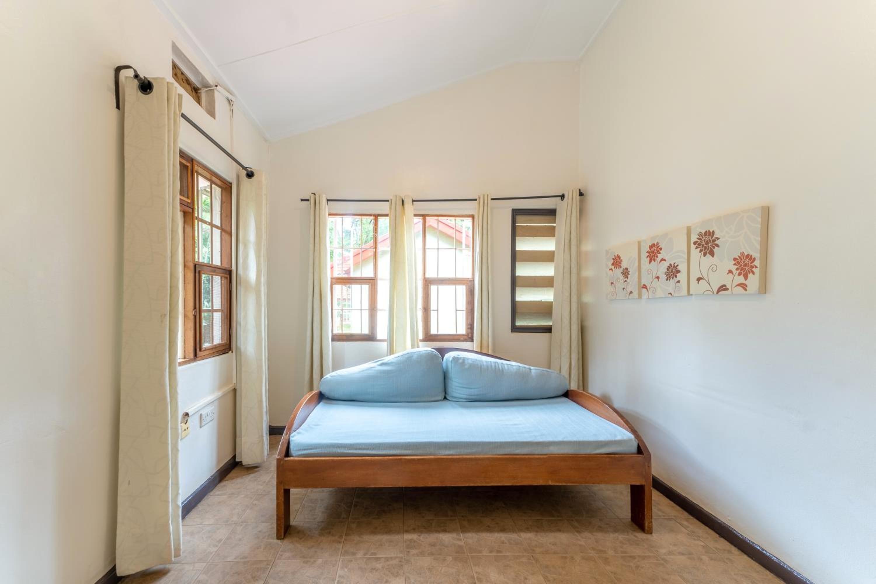 Deluxe Double or Twin Room photo 3