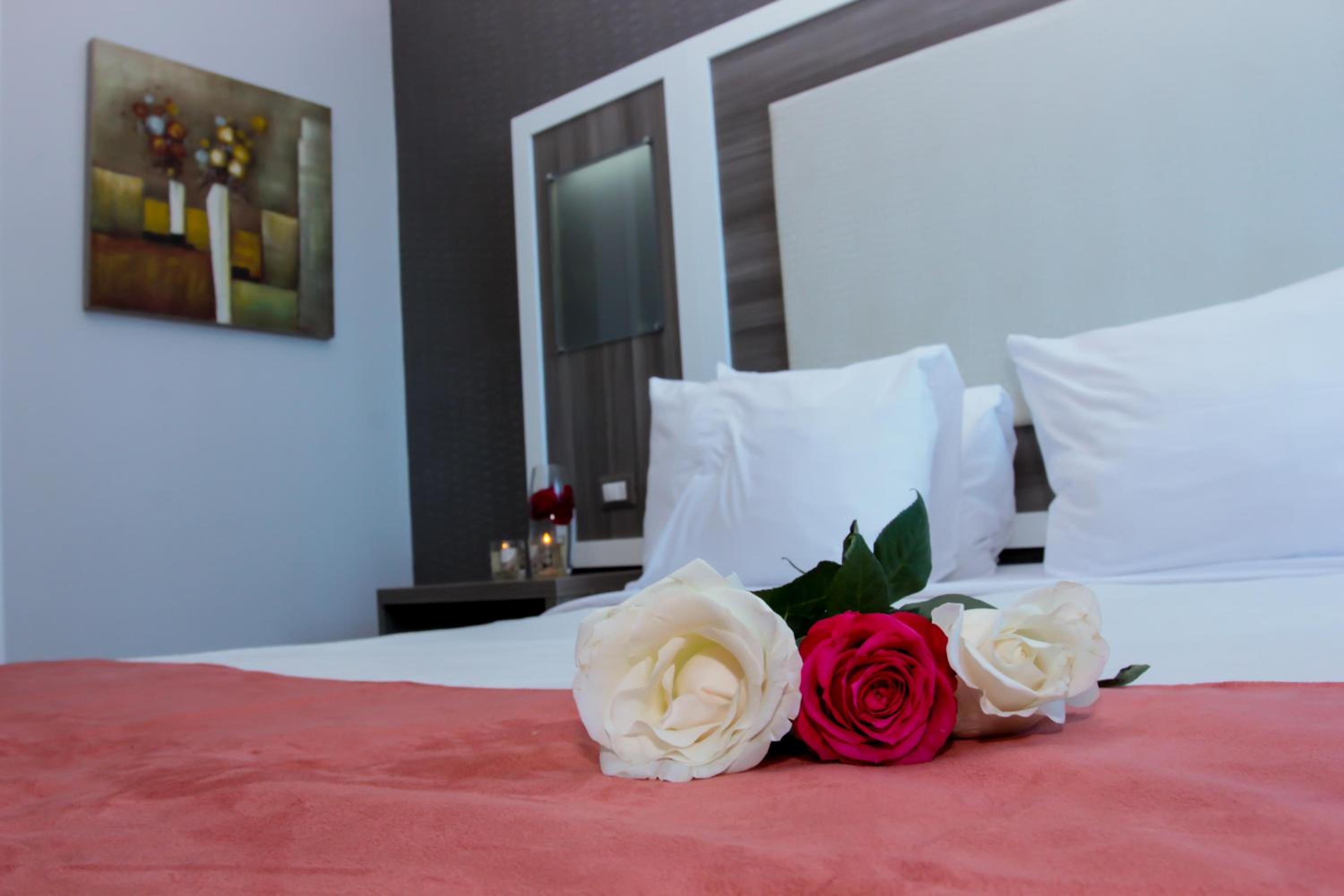 Standard  Room - Photo 2