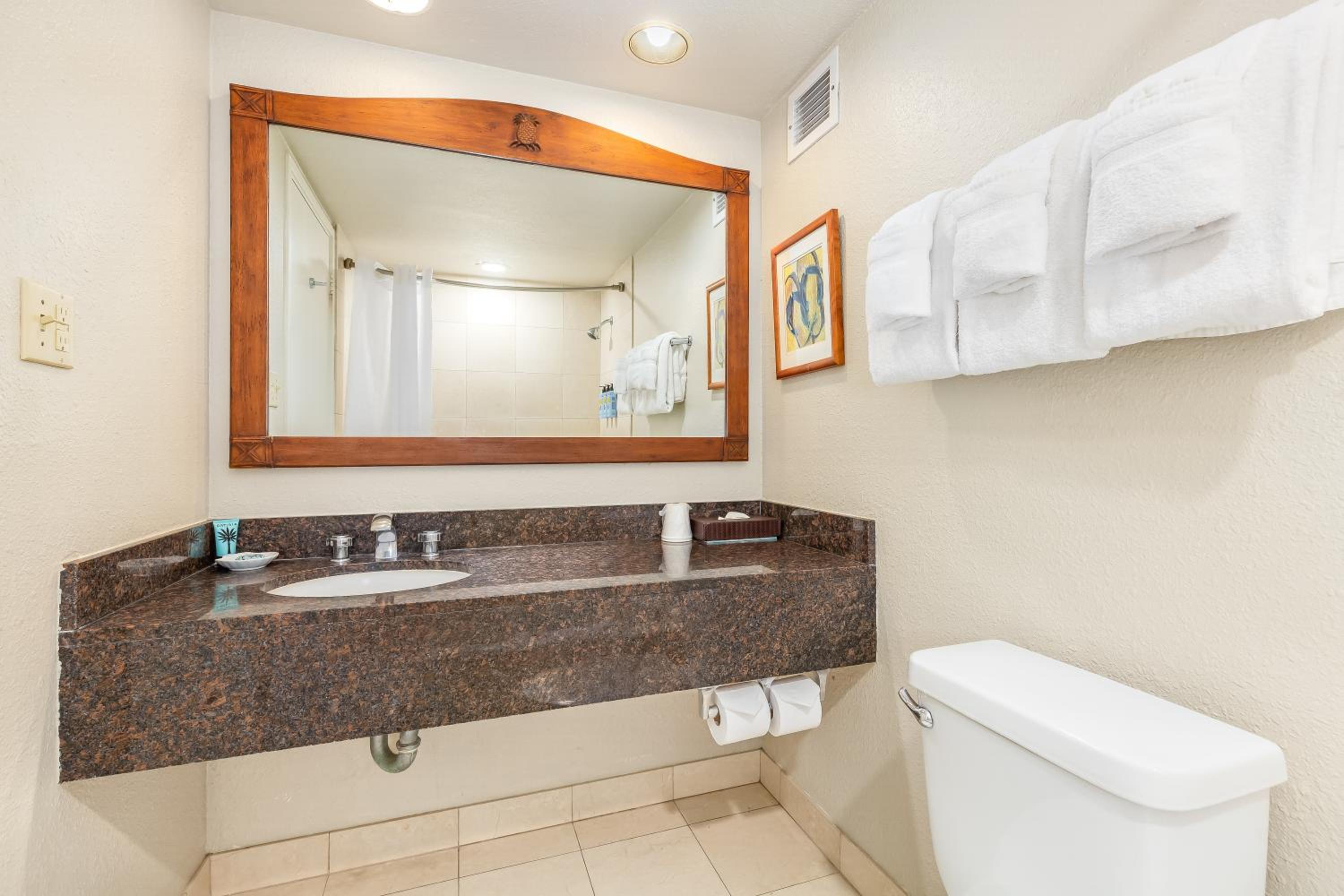 City View Studio Suite with Kitchenette - Photo 3