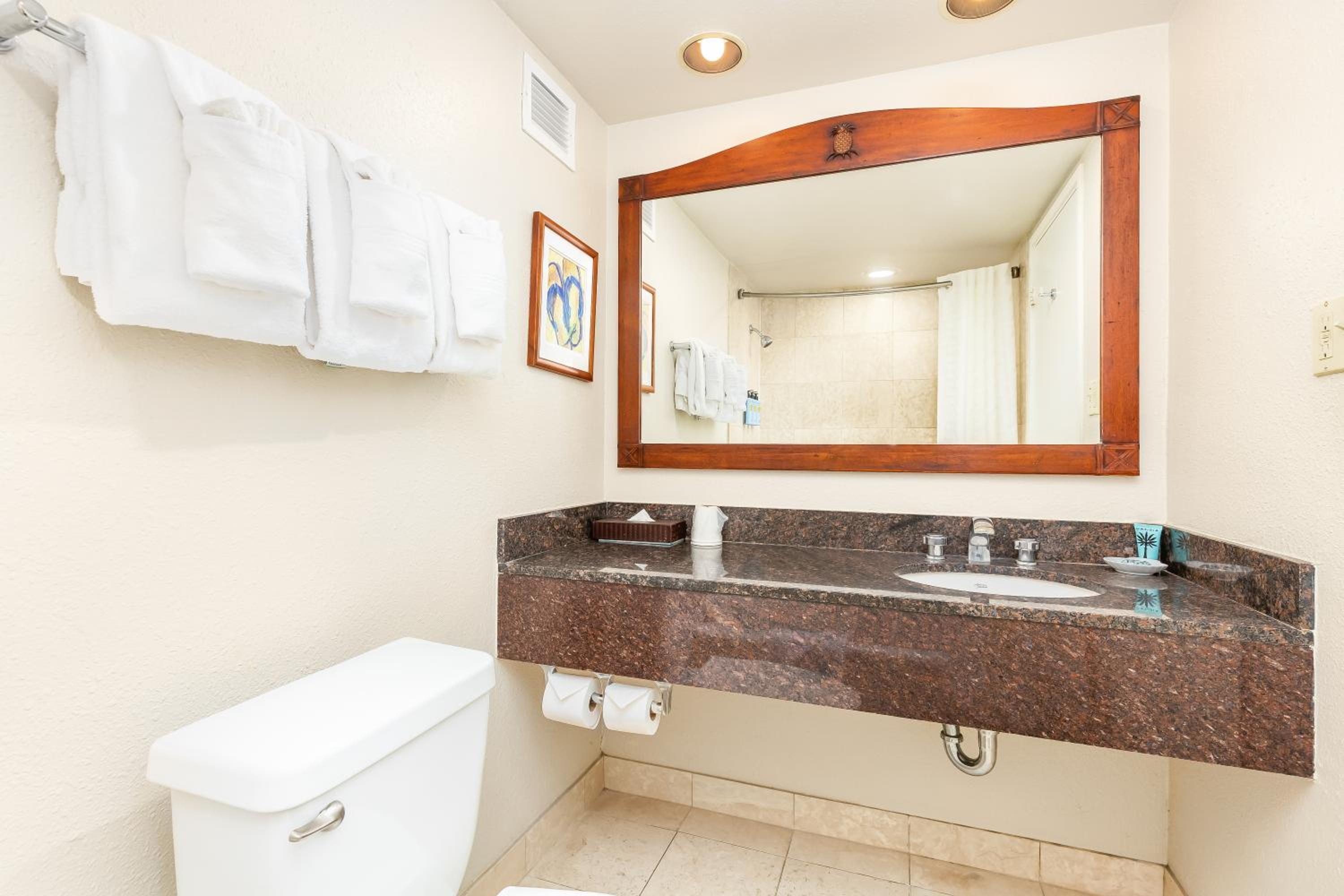 City View Studio Suite with Two Queen Beds and Kitchenette - Photo 5