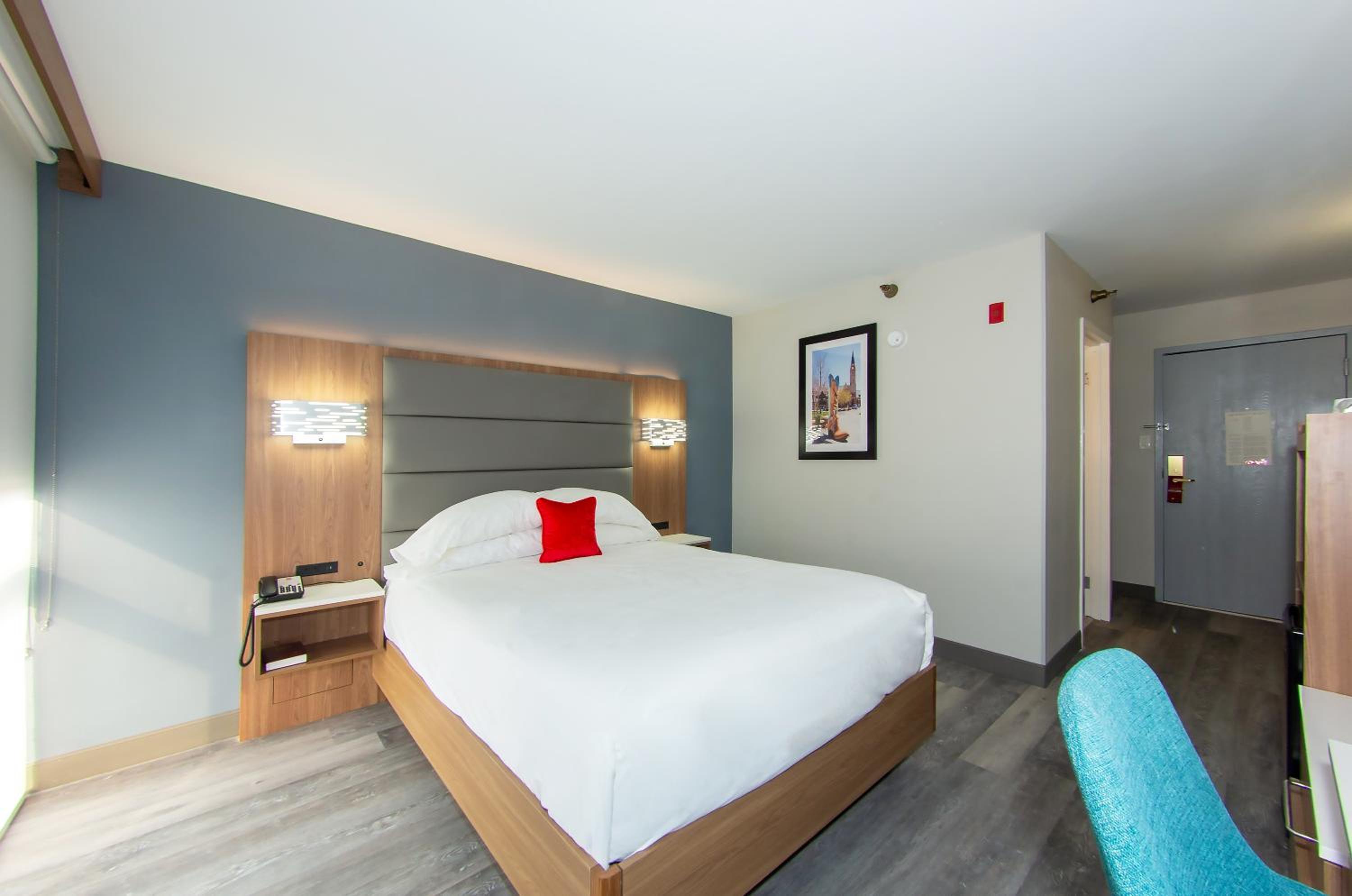 Deluxe One Queen Bed Pet Friendly - Photo 5