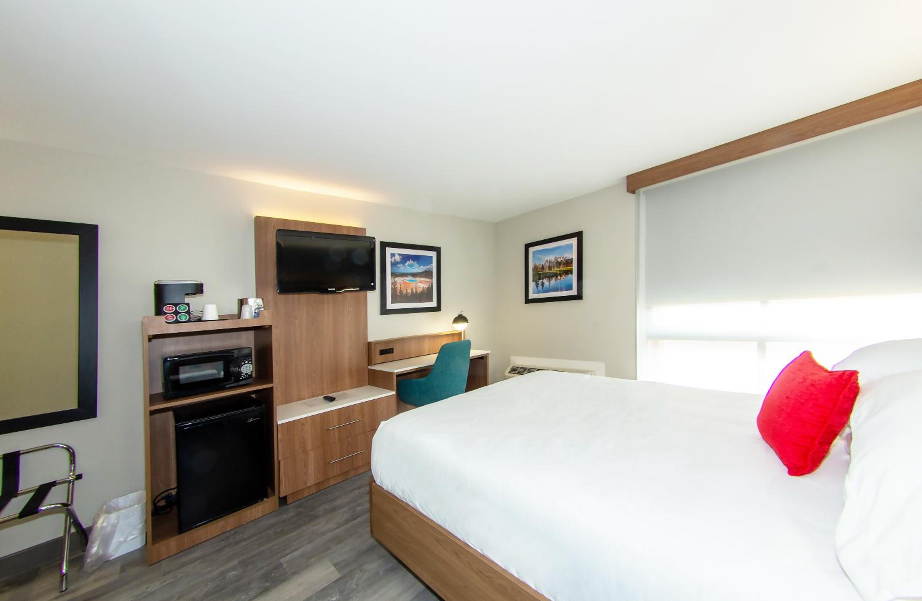 Deluxe One Queen Bed Pet Friendly - Photo 3
