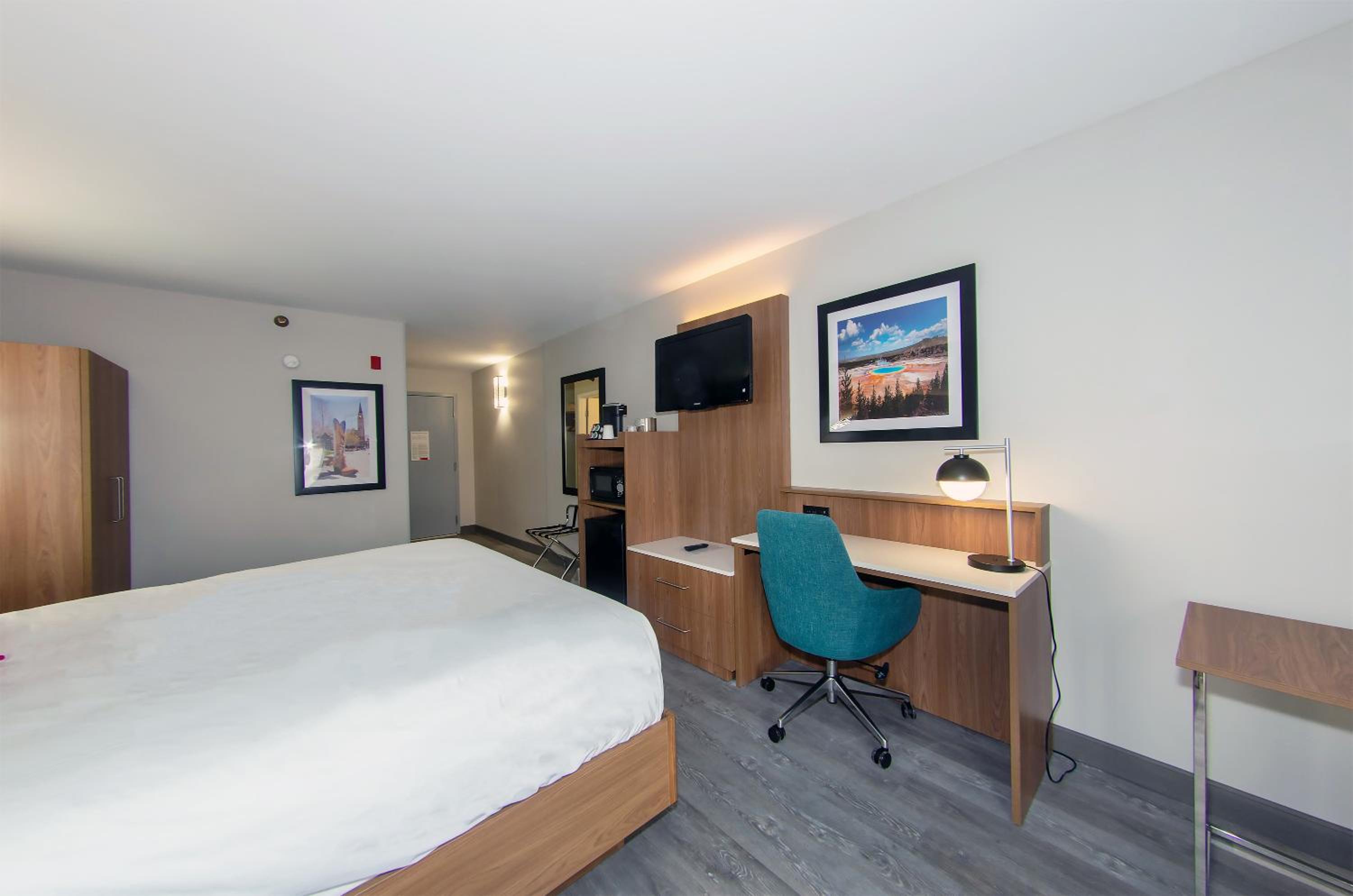 Deluxe One Queen Bed Pet Friendly - Photo 1