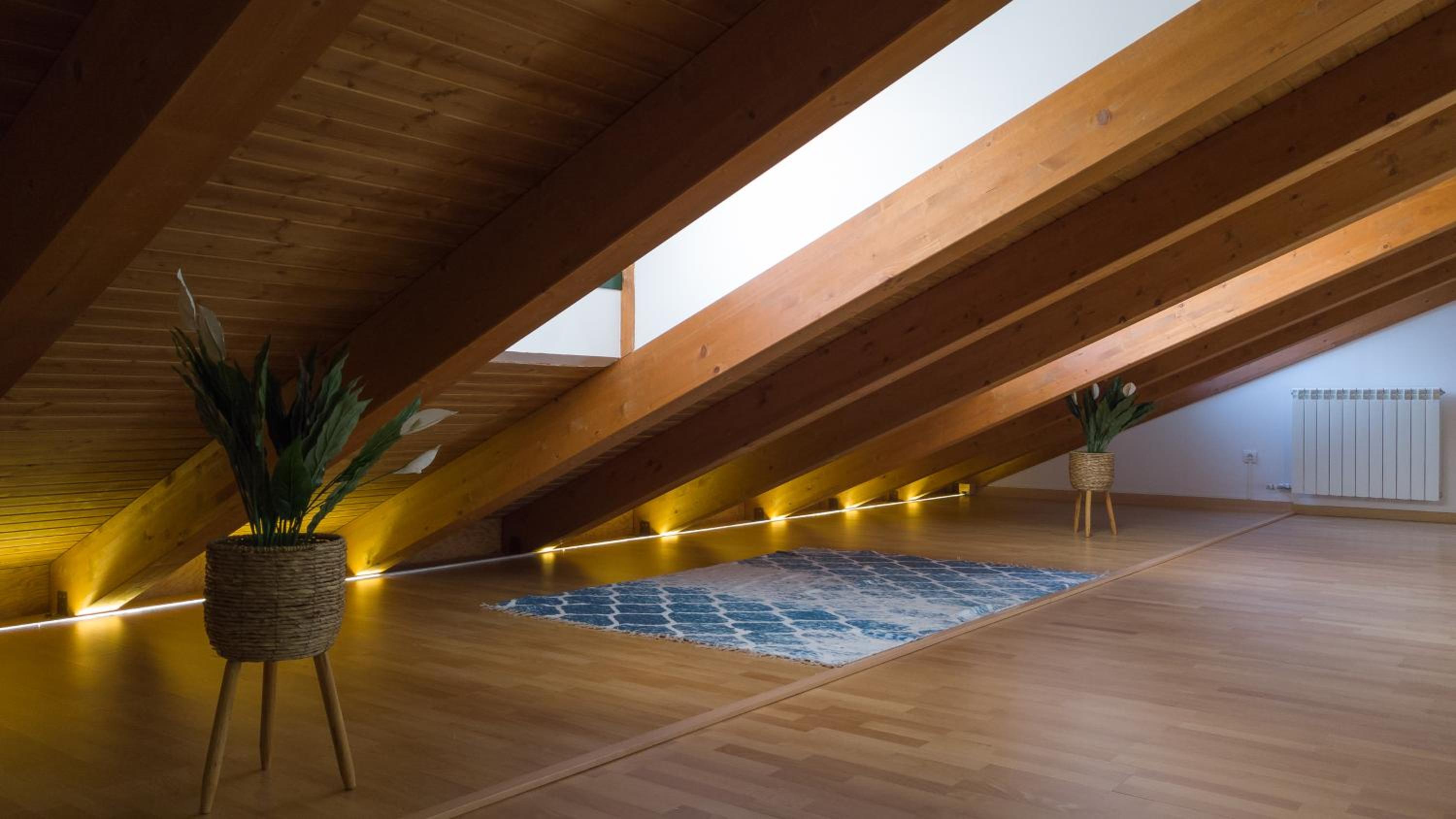 Apartamento de Lujo de Una Habitación