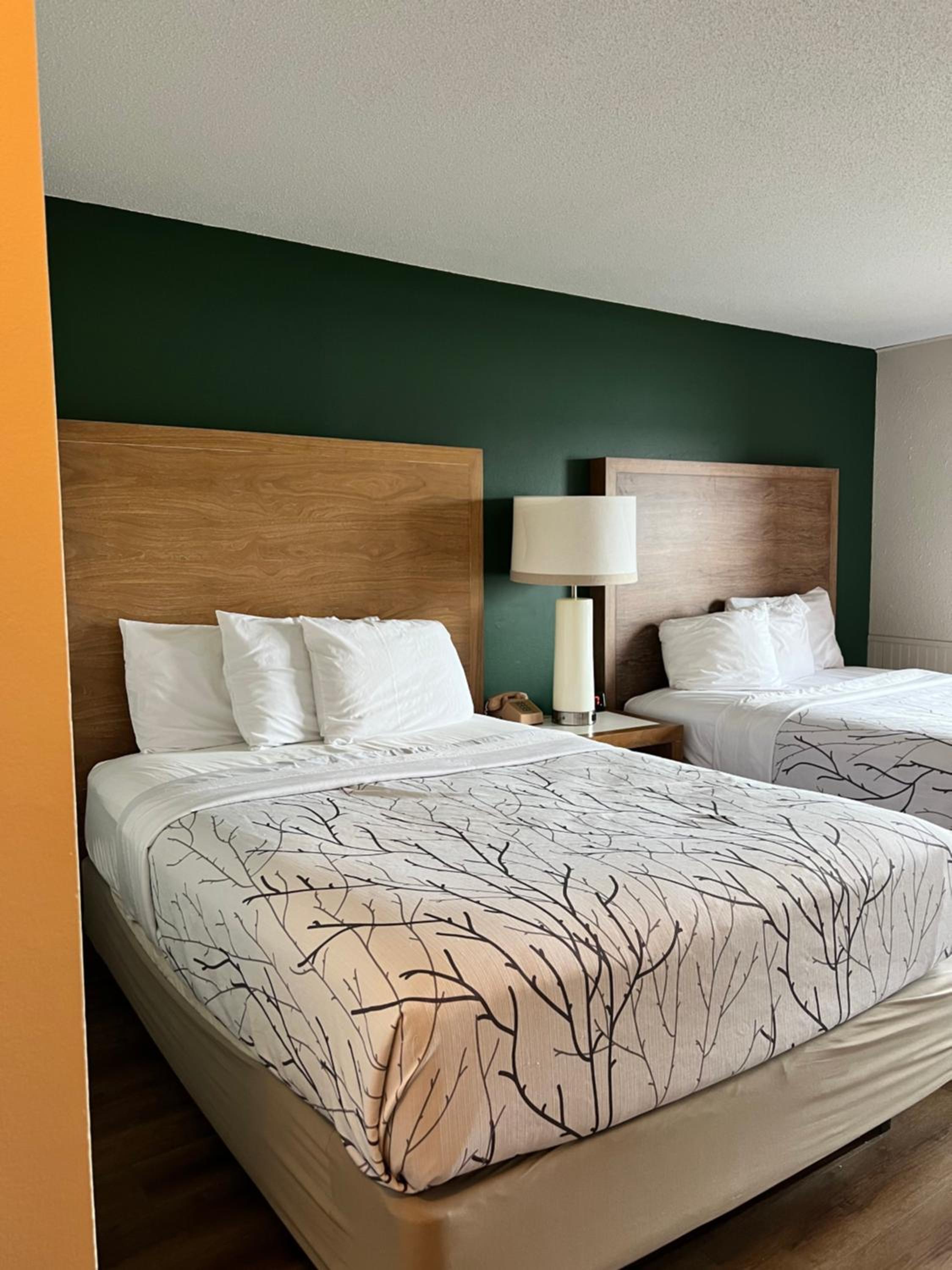Double Room Pet Friendly