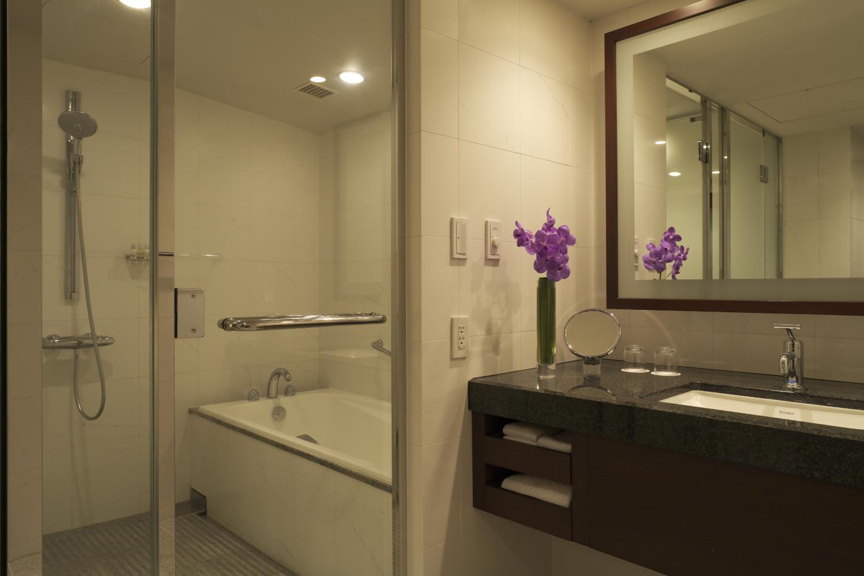 Suite with One King Bed photo 2