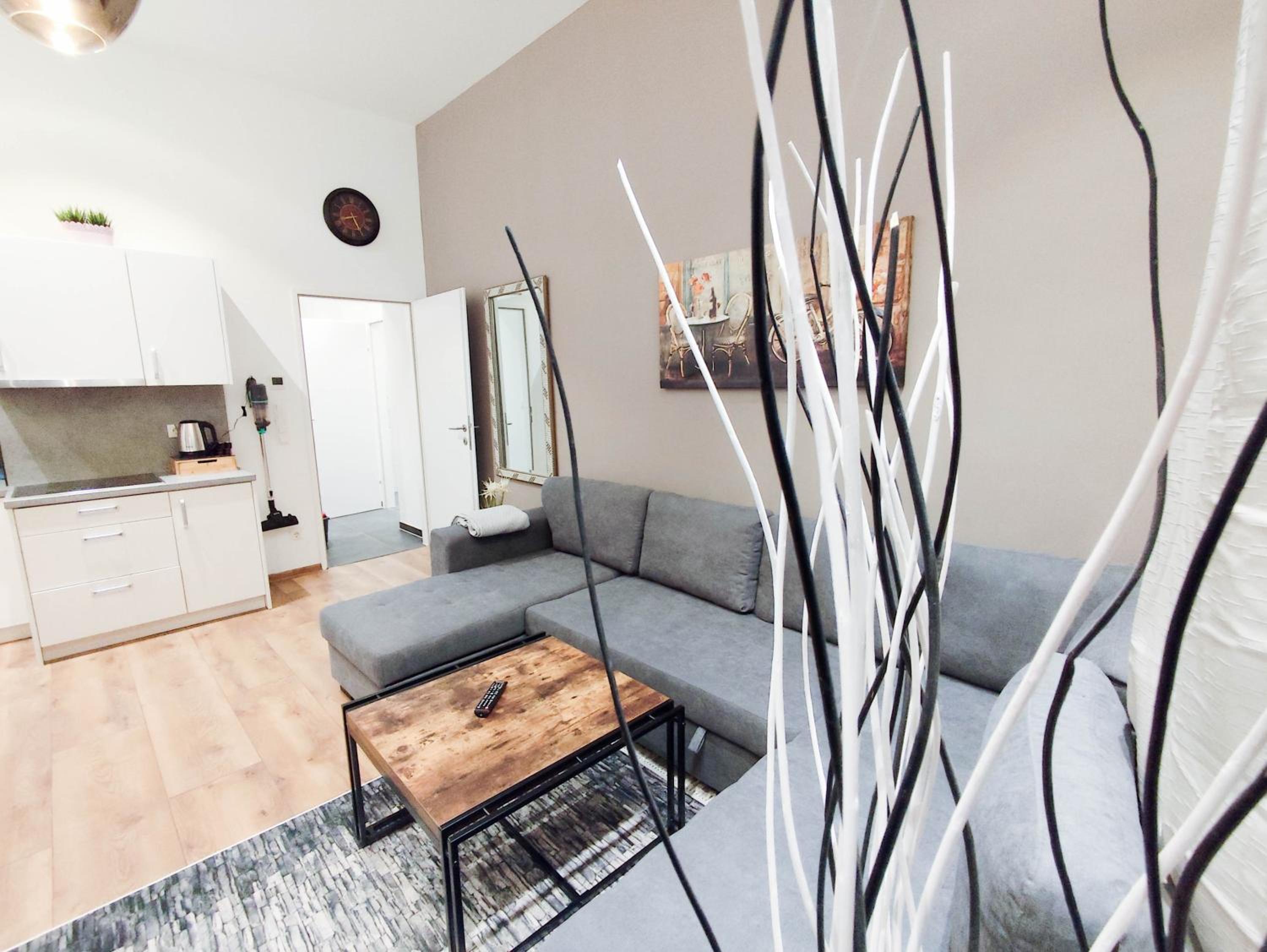 Deluxe Apartment