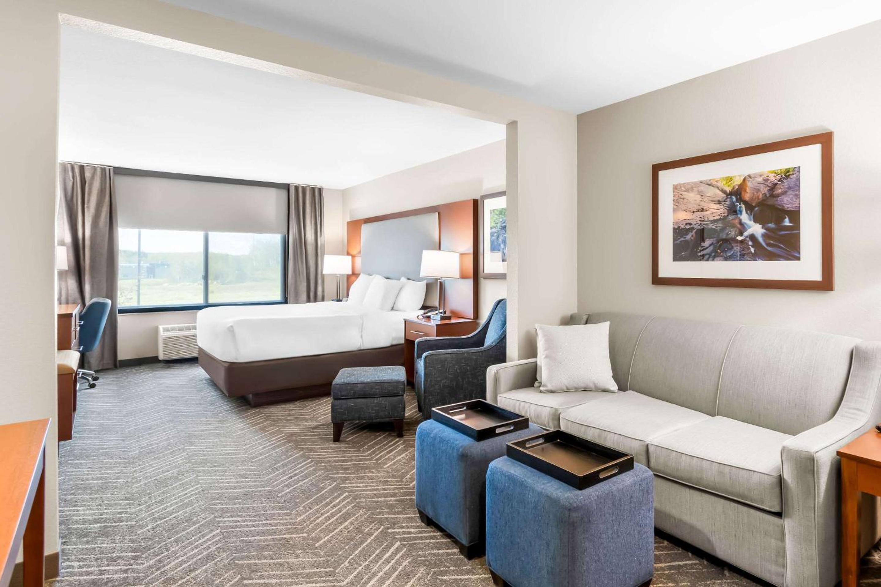 King Suite with Sofa Bed - Non-Smoking - Photo 1