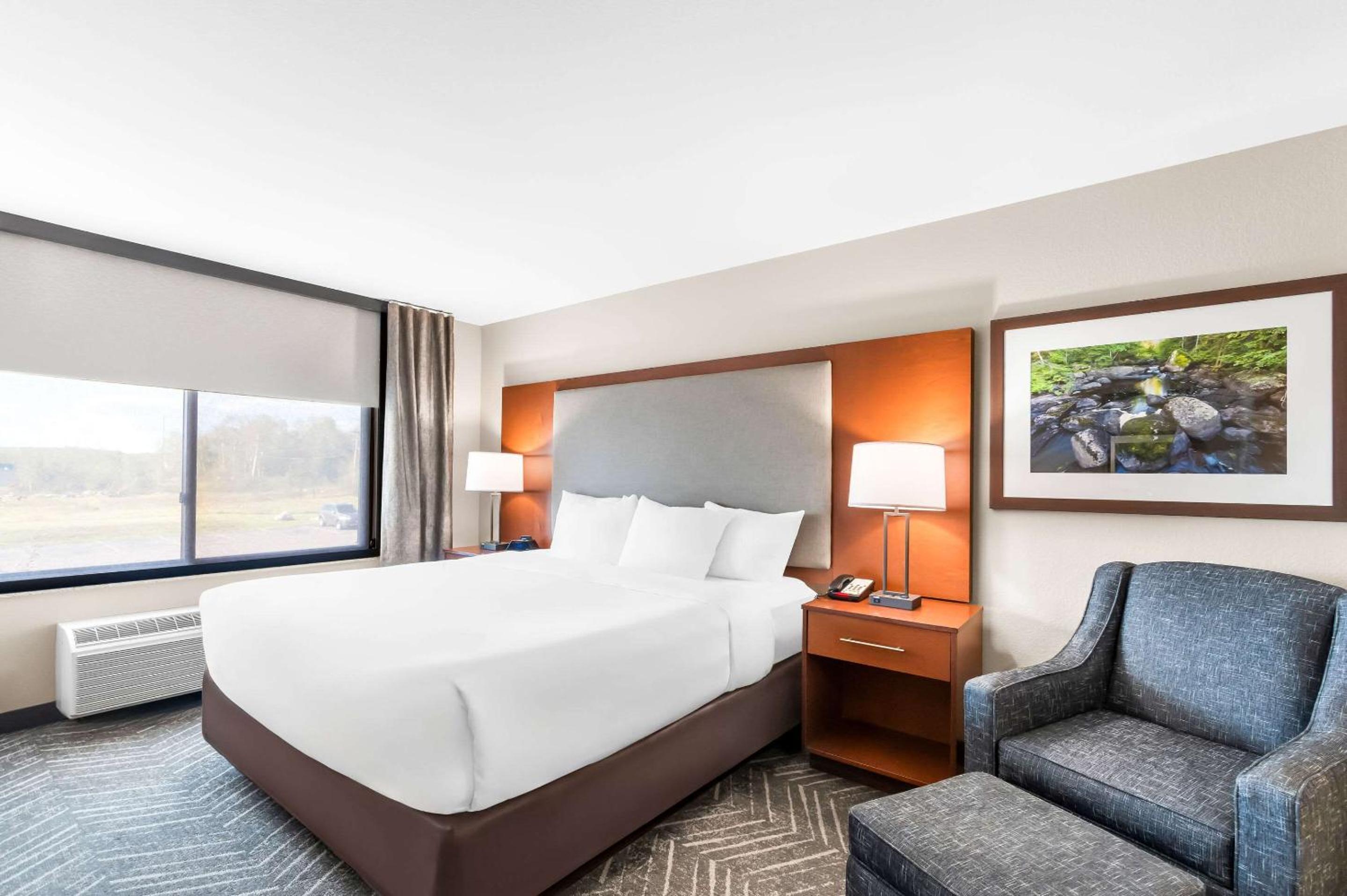 King Suite with Sofa Bed - Non-Smoking - Photo 2