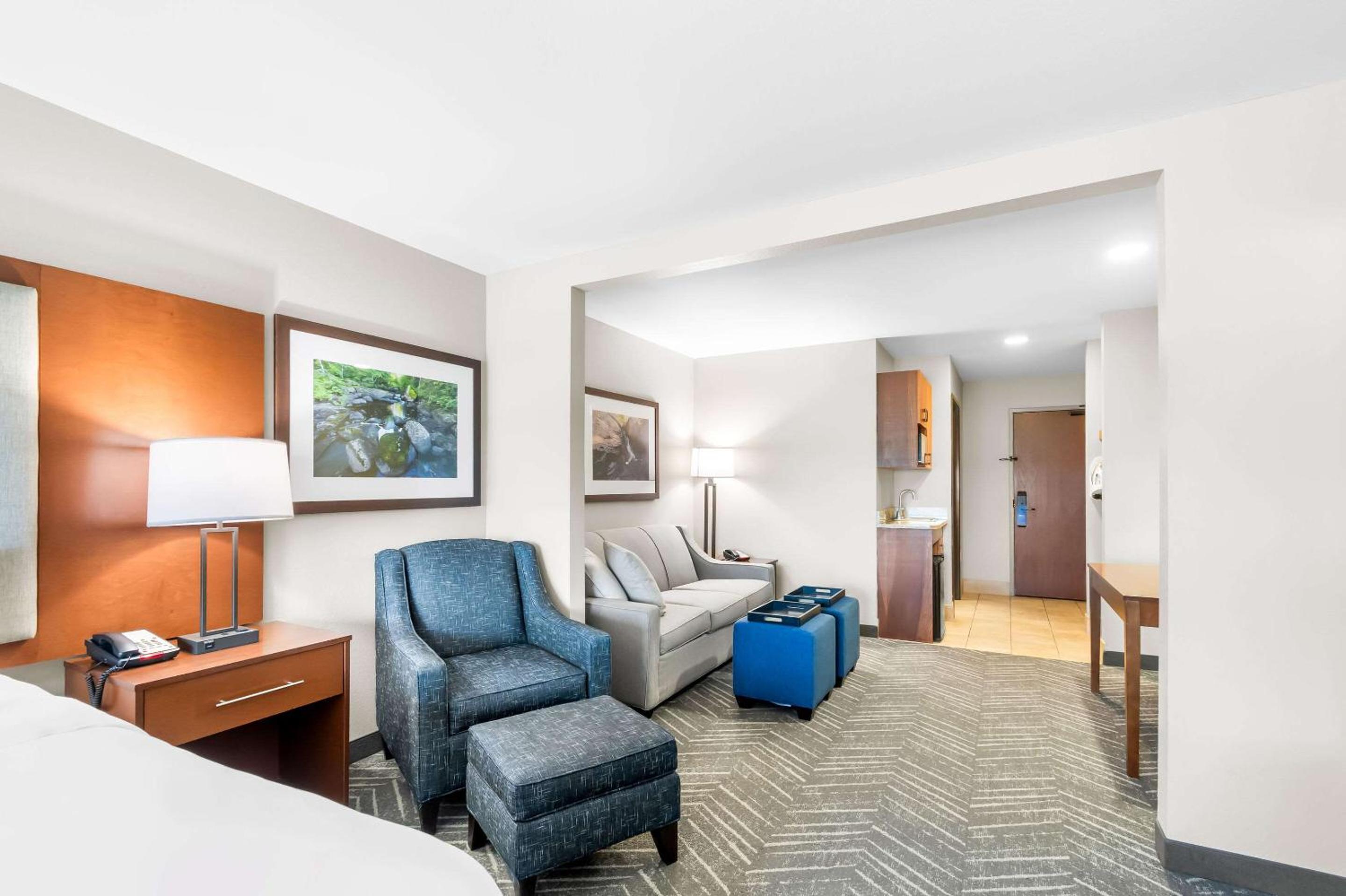 King Suite with Sofa Bed - Non-Smoking - Photo 3