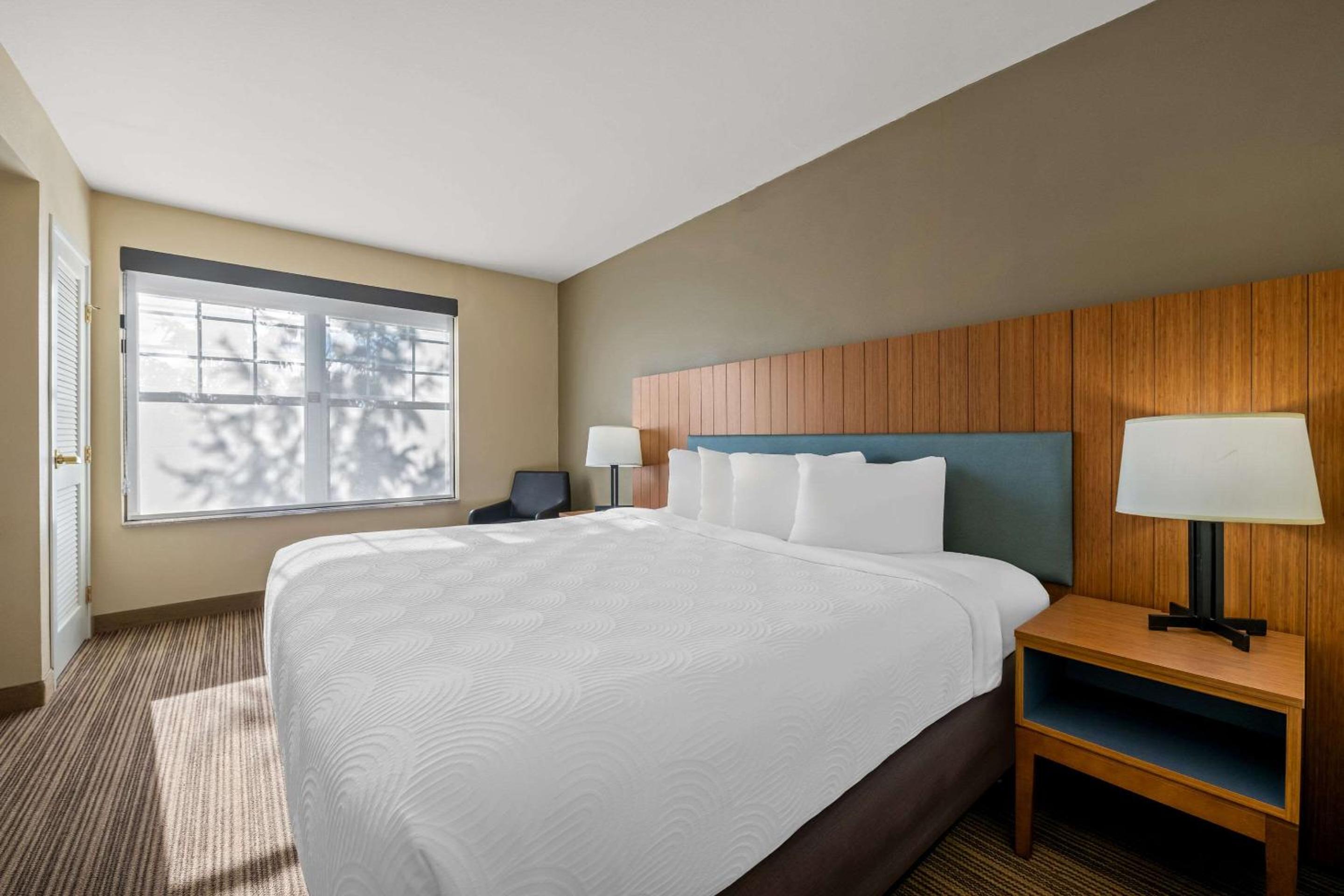 King Room - Non-Smoking - Photo 4