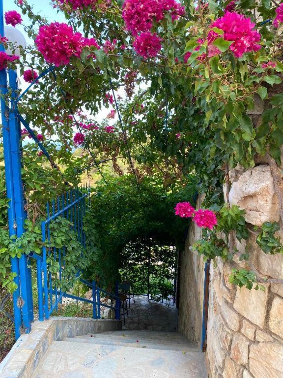 Double Room with Garden View photo 2