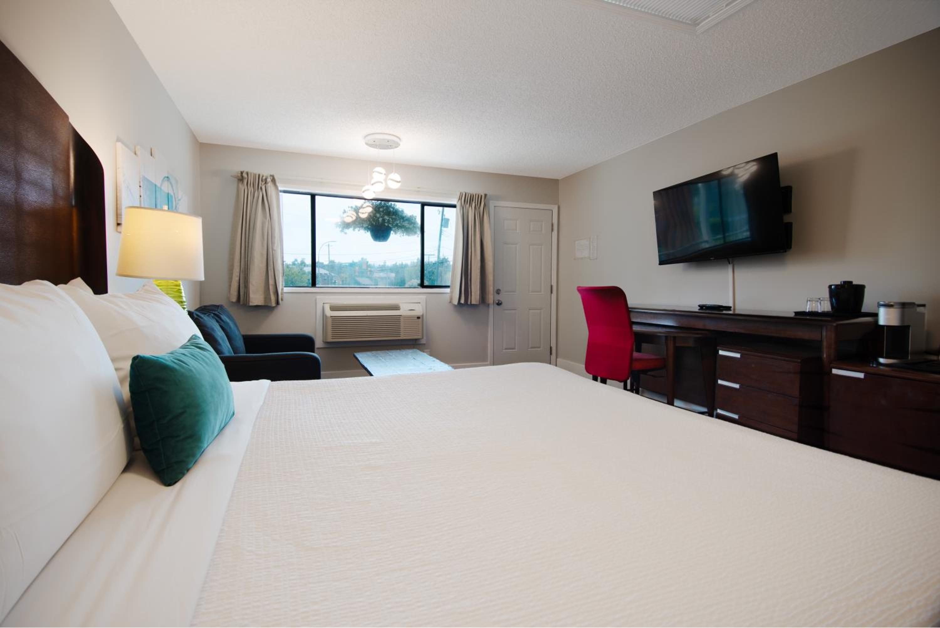 King Room photo 1