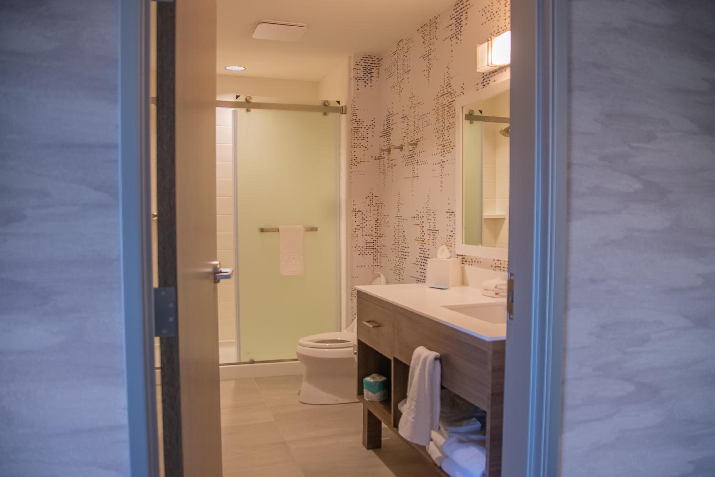 King Studio Suite - Photo 4