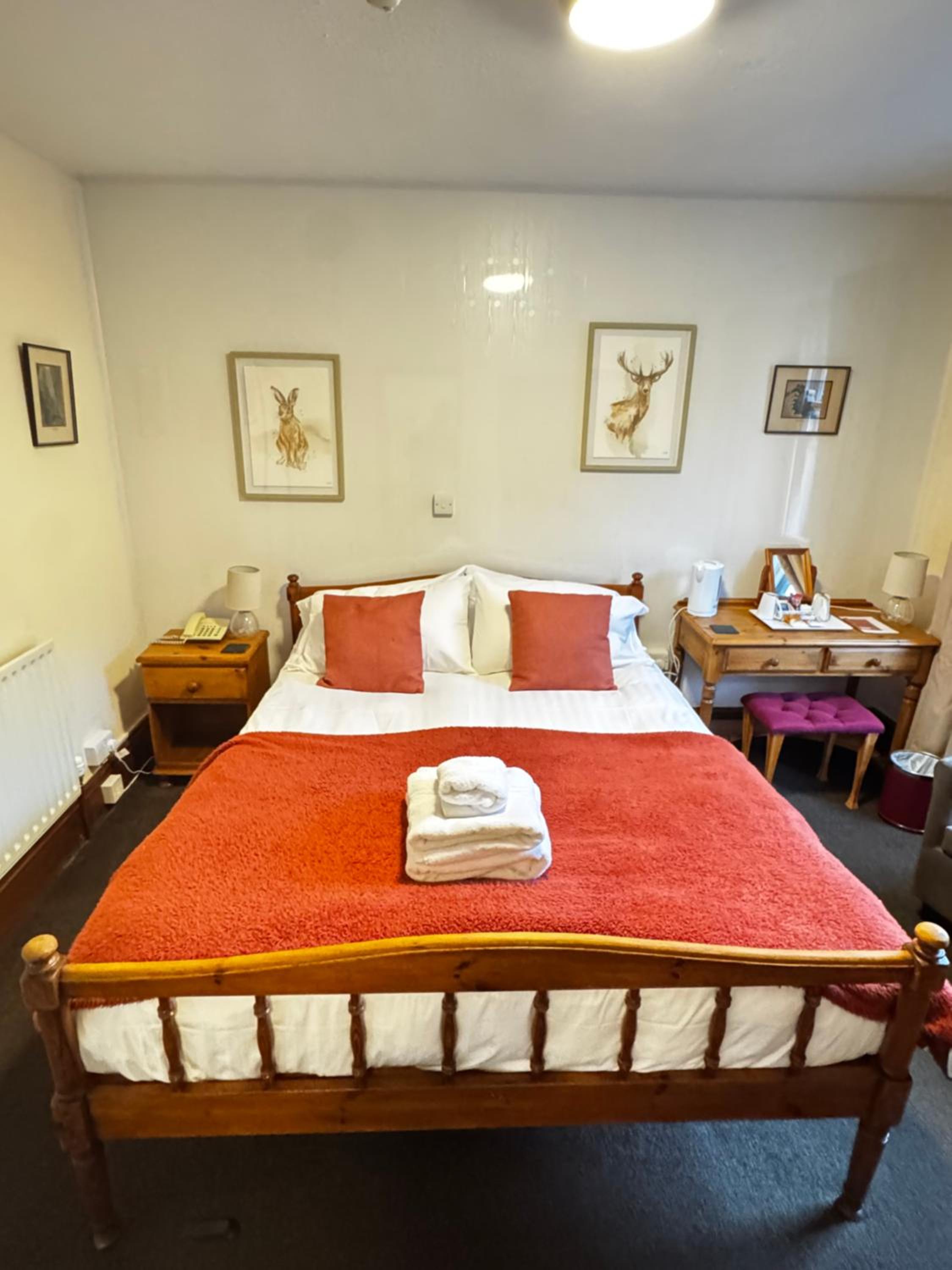 King Room photo 3