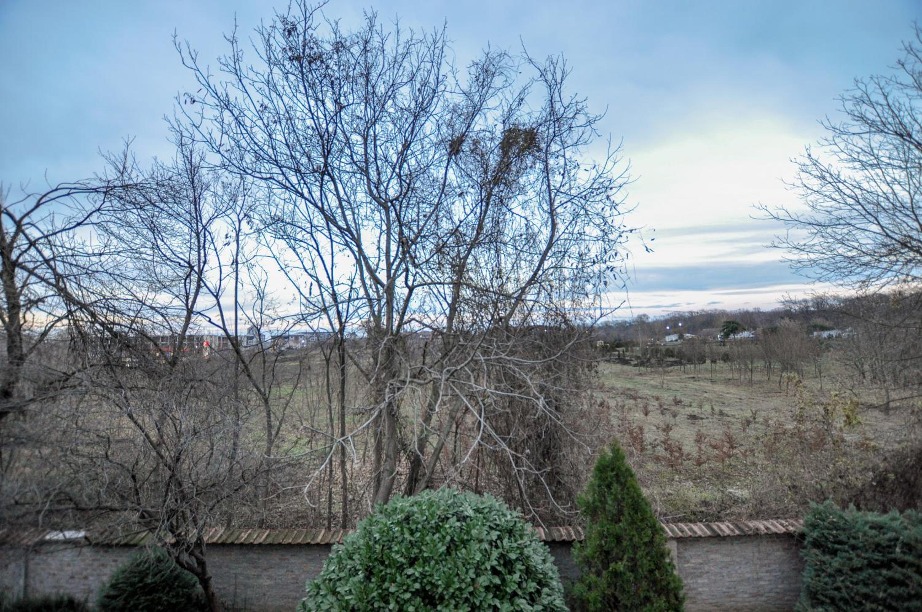 Triple Room with Garden View