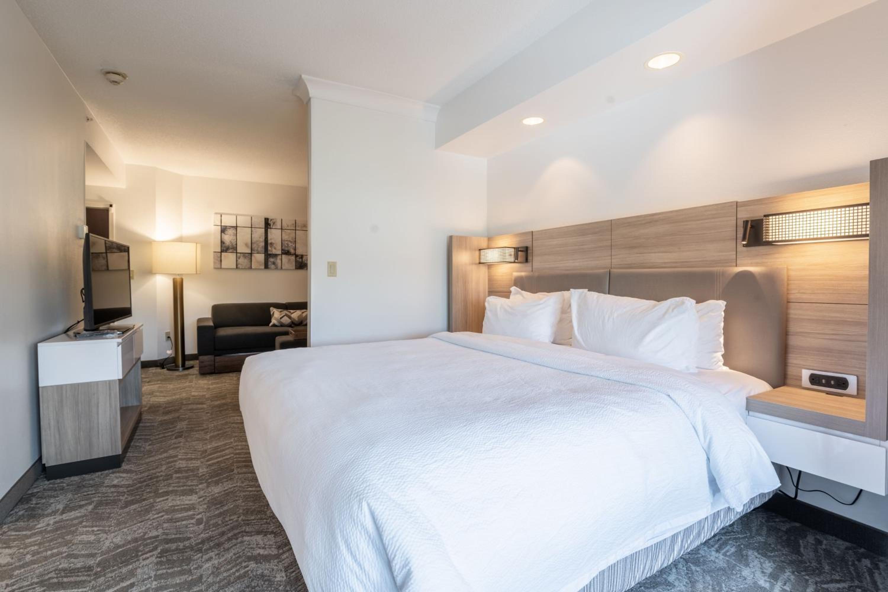 King Suite with Sofa Bed - Hearing Accessible - Photo 5