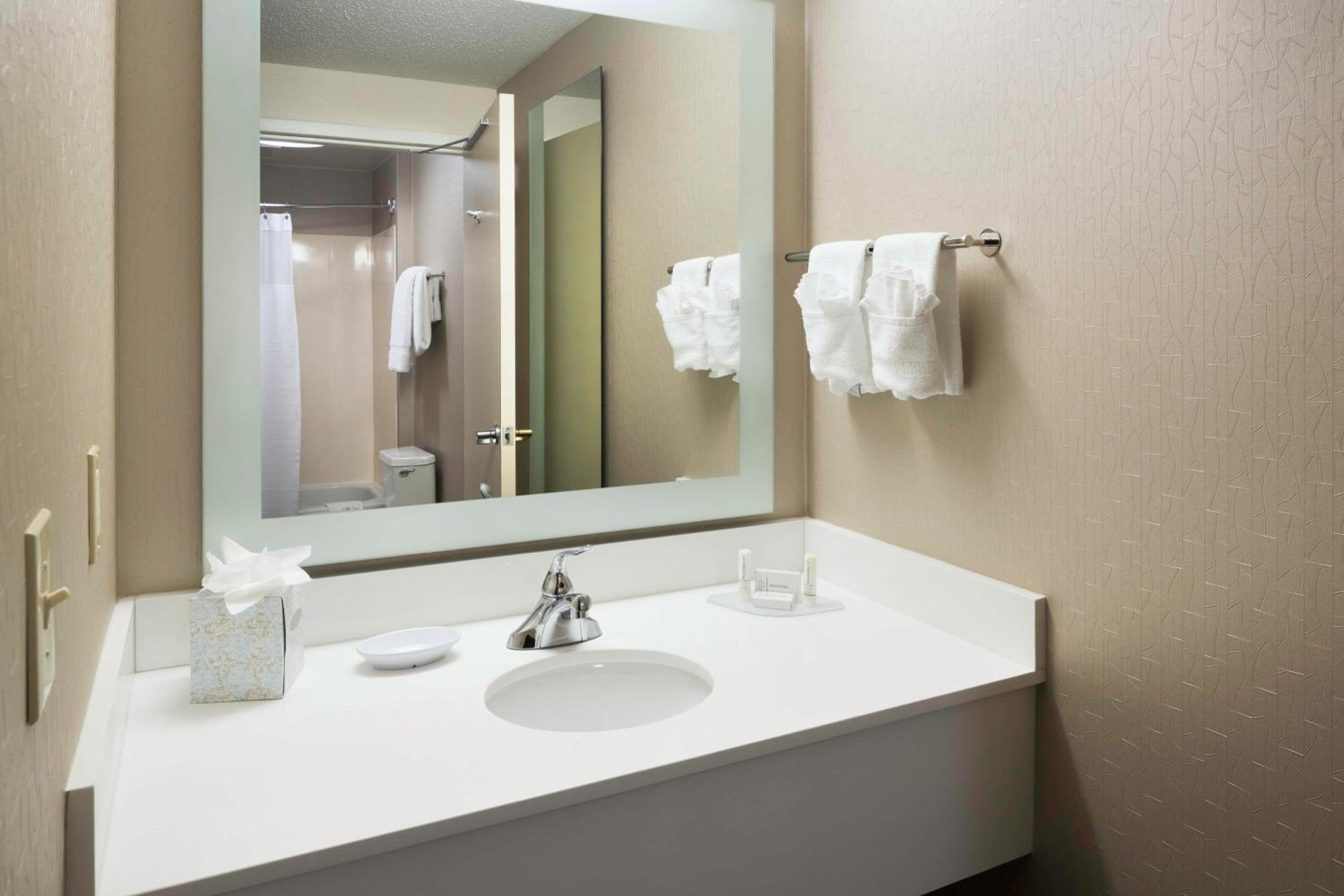 Suite with Roll-in Shower - Mobility and Hearing Accessible - Photo 3
