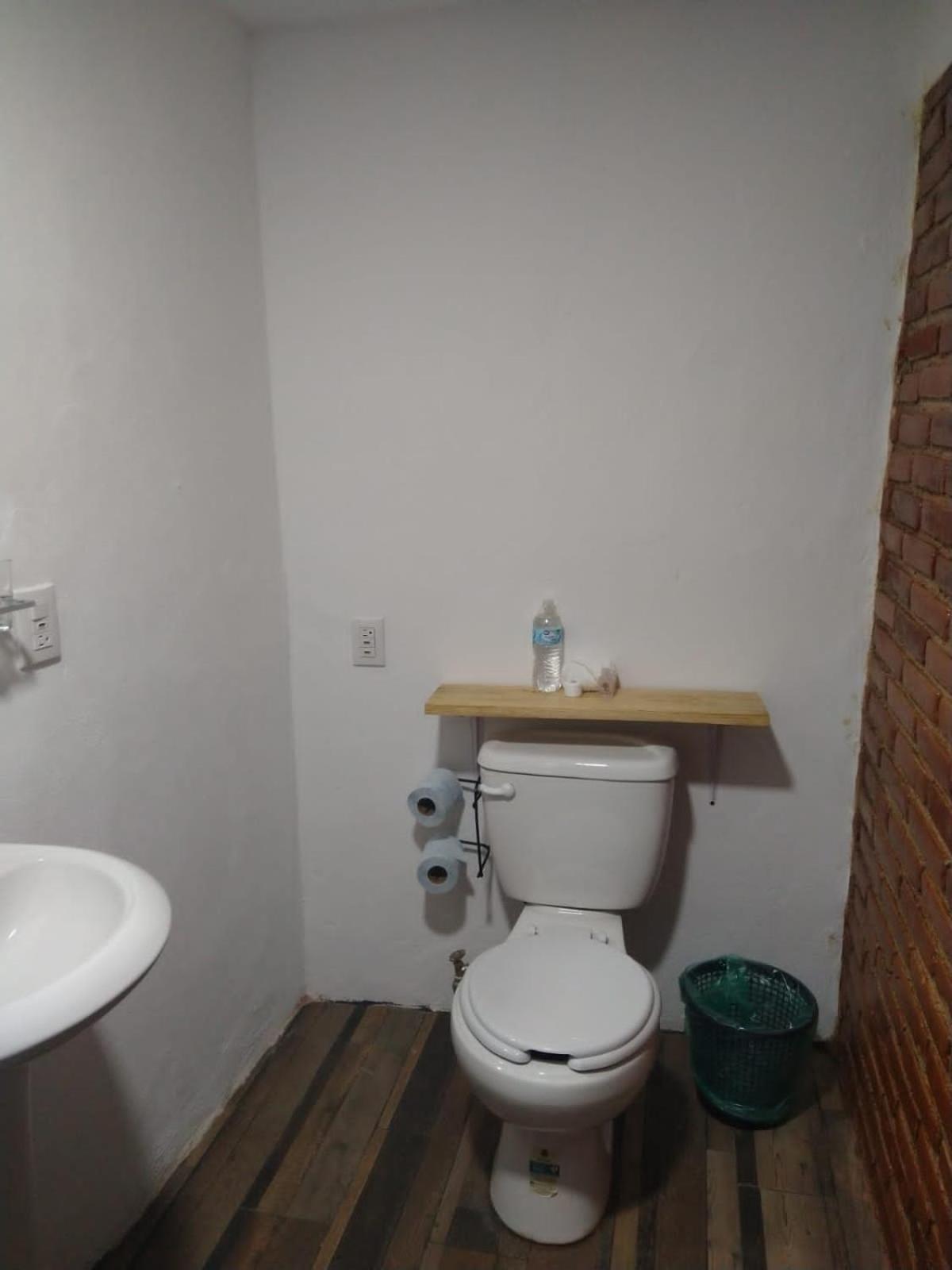 Standard Double Room with Two Double Beds photo 1
